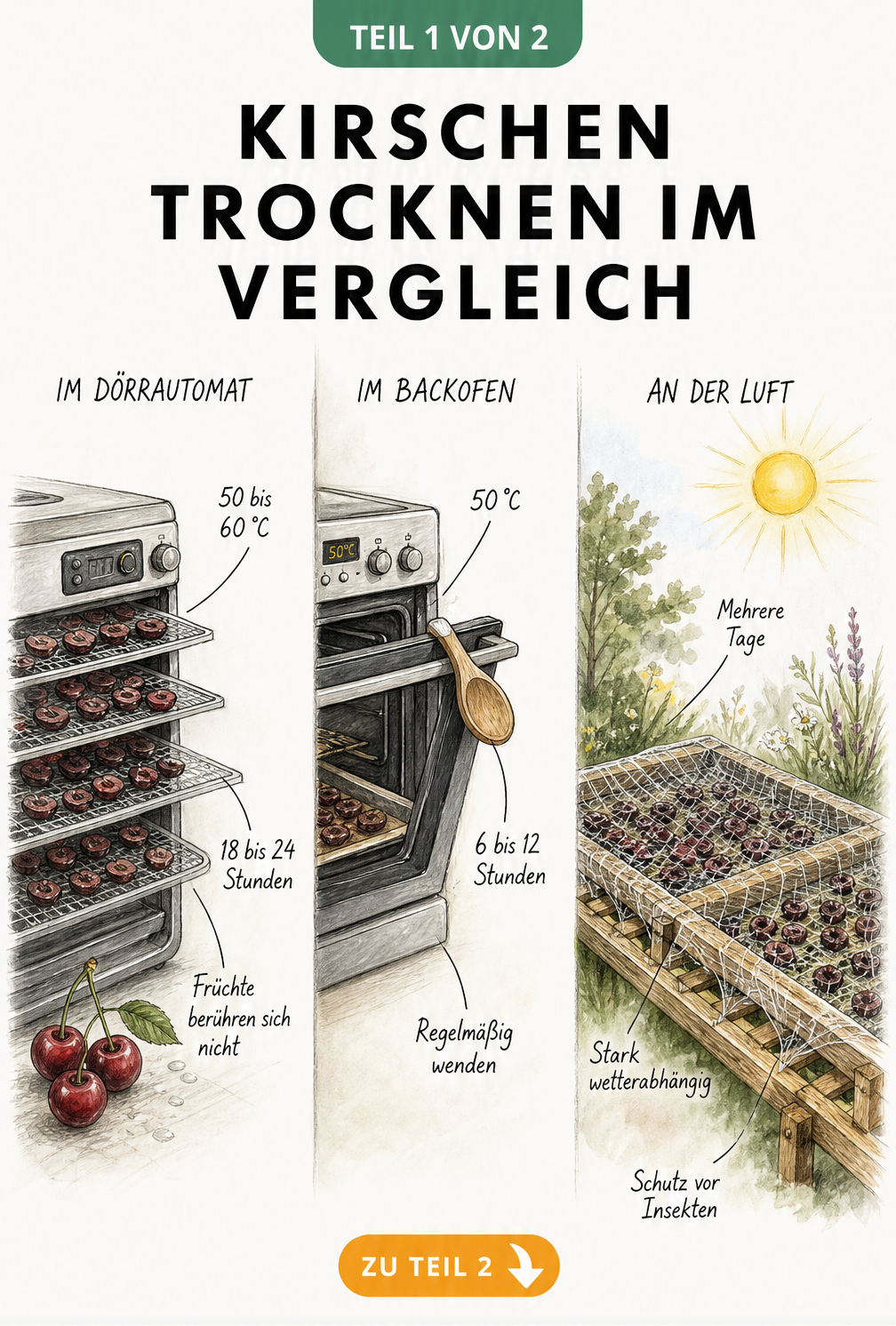Illustration von drei Methoden zum Kirschen trocknen: Dörrautomat, Backofen und an der Sonne