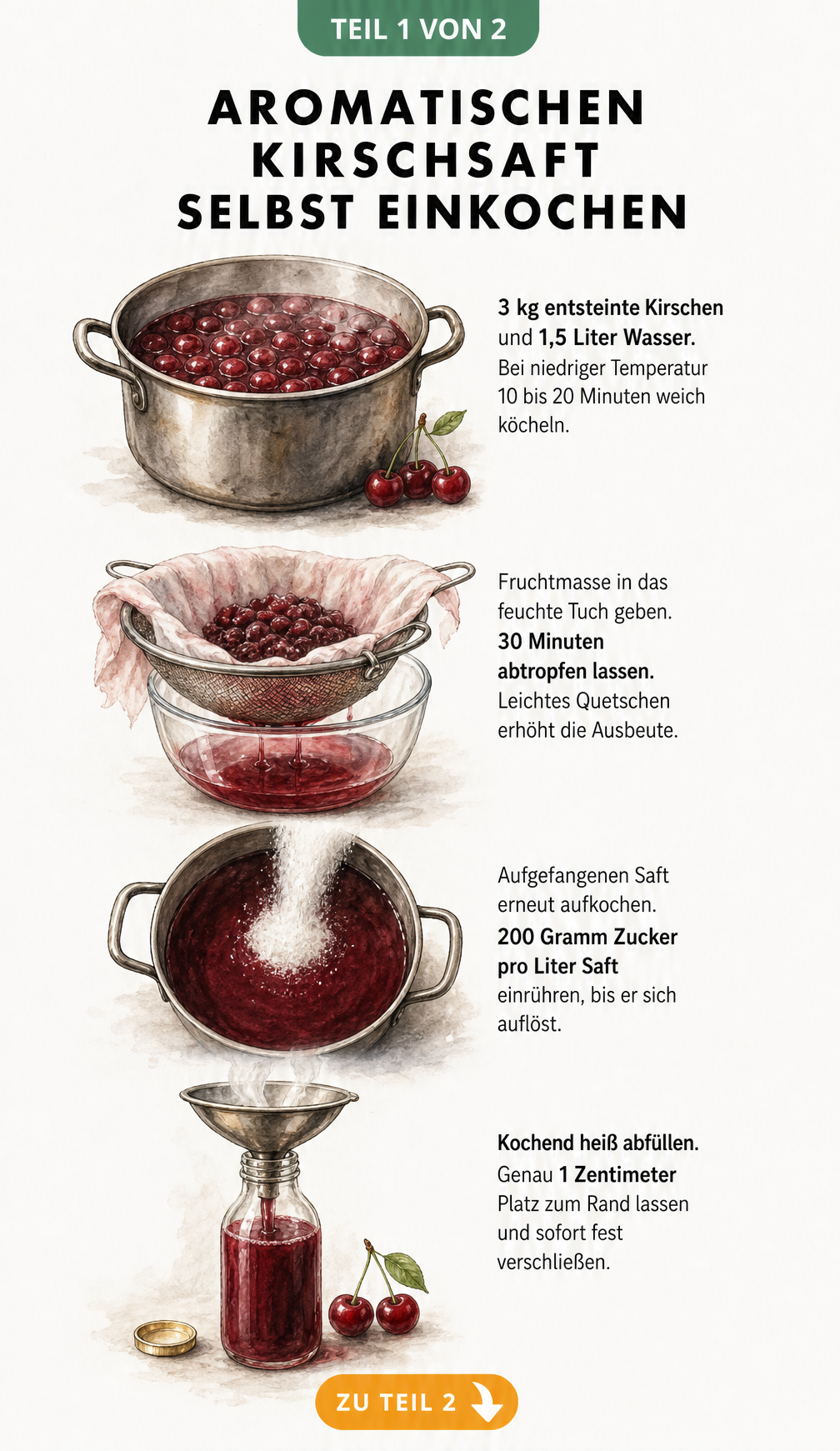 Illustration der vier Schritte zum Kirschsaft einkochen: Kirschen kochen, abseihen, zuckern und abfüllen