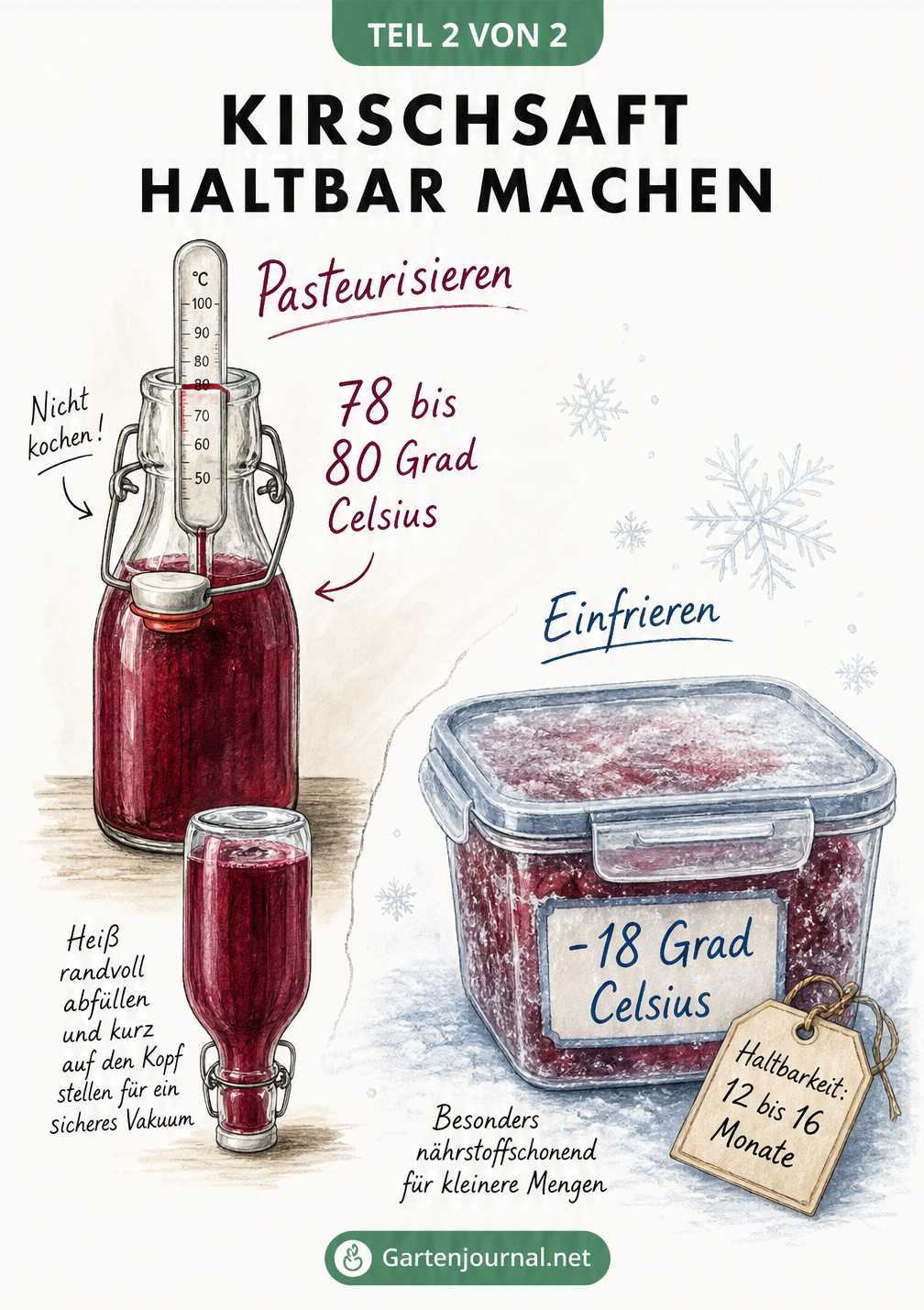 Illustration zum Pasteurisieren und Einfrieren von Kirschsaft