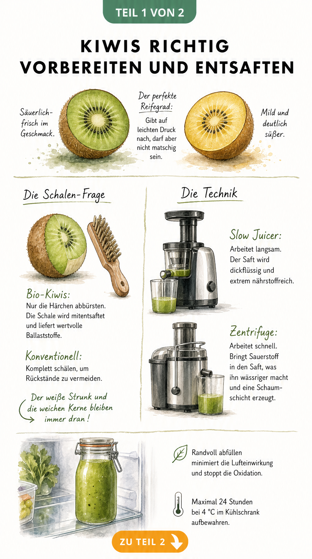 Ablaufplan zum Vorbereiten und Entsaften von Kiwis mit Tipps zu Schale, Entsafter-Typen und Lagerung