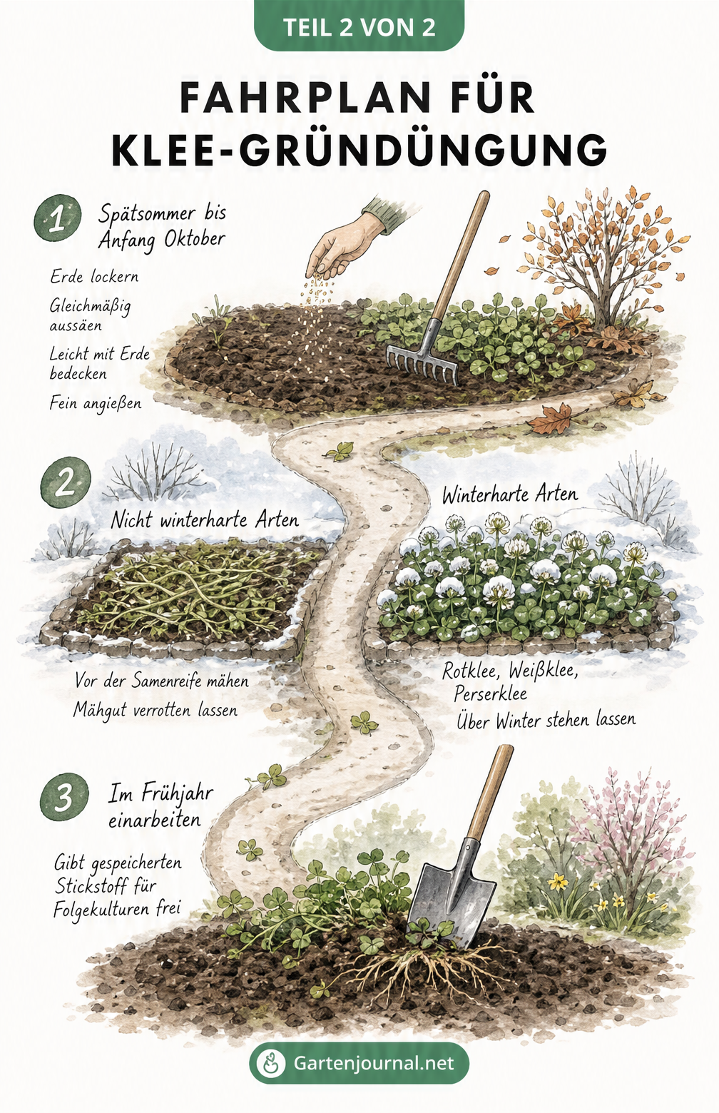 Gartenpfad durch drei Jahreszeiten, der die Aussaat, Überwinterung und Einarbeitung von Klee zeigt