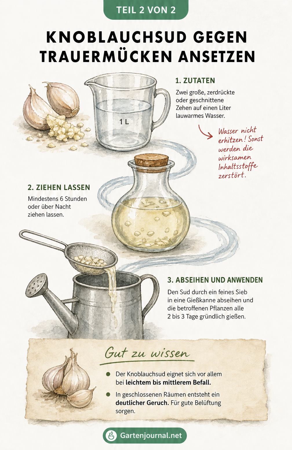 Rezept-Illustration zur Herstellung von Knoblauchsud aus zerdrückten Zehen und Wasser