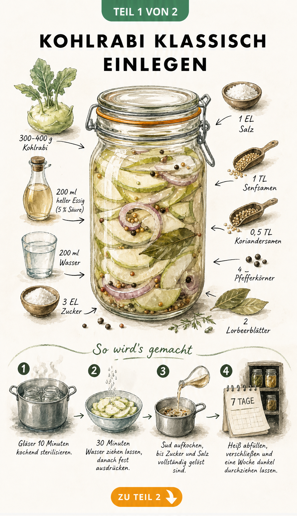 Illustration eines Einmachglases mit Kohlrabischeiben und den Zutaten für den Sud sowie vier Zubereitungsschritten
