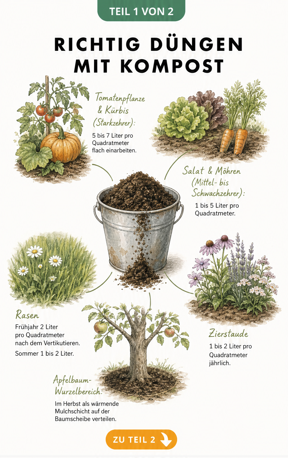 Illustration eines Zinkeimers mit Kompost und Vignetten zur Dosierung bei Tomaten, Salat, Rasen, Zierstauden und Apfelbäumen