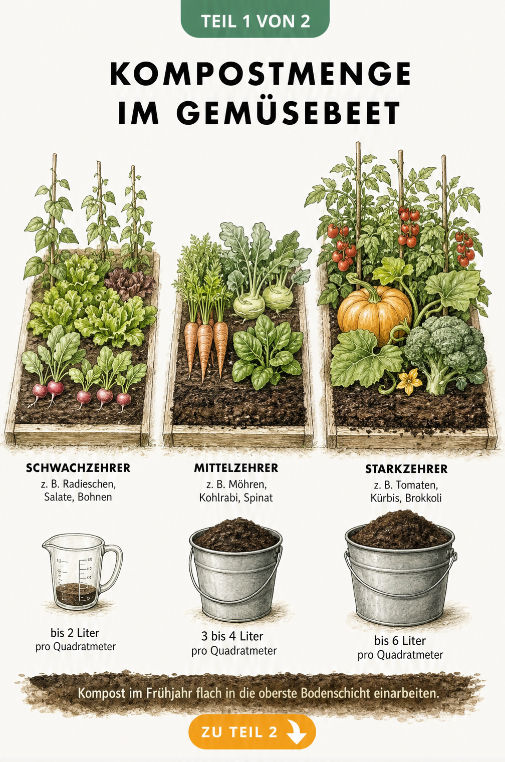 Illustration von drei Gemüsebeeten mit unterschiedlichen Kompostmengen für Schwachzehrer, Mittelzehrer und Starkzehrer