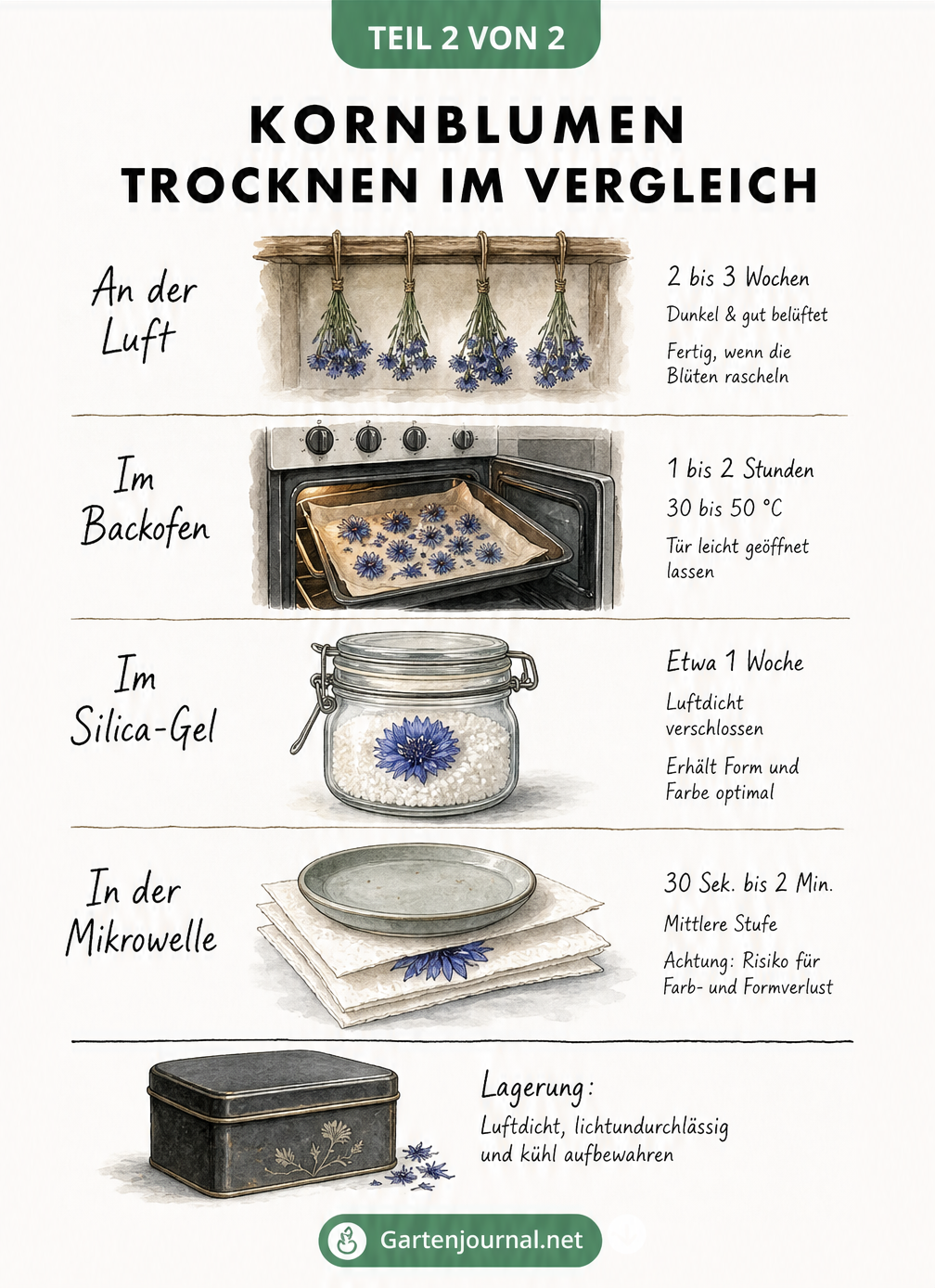Vergleich von vier Methoden zum Trocknen von Kornblumen: Lufttrocknung, Backofen, Silica-Gel und Mikrowelle mit Dauer und Besonderheiten.