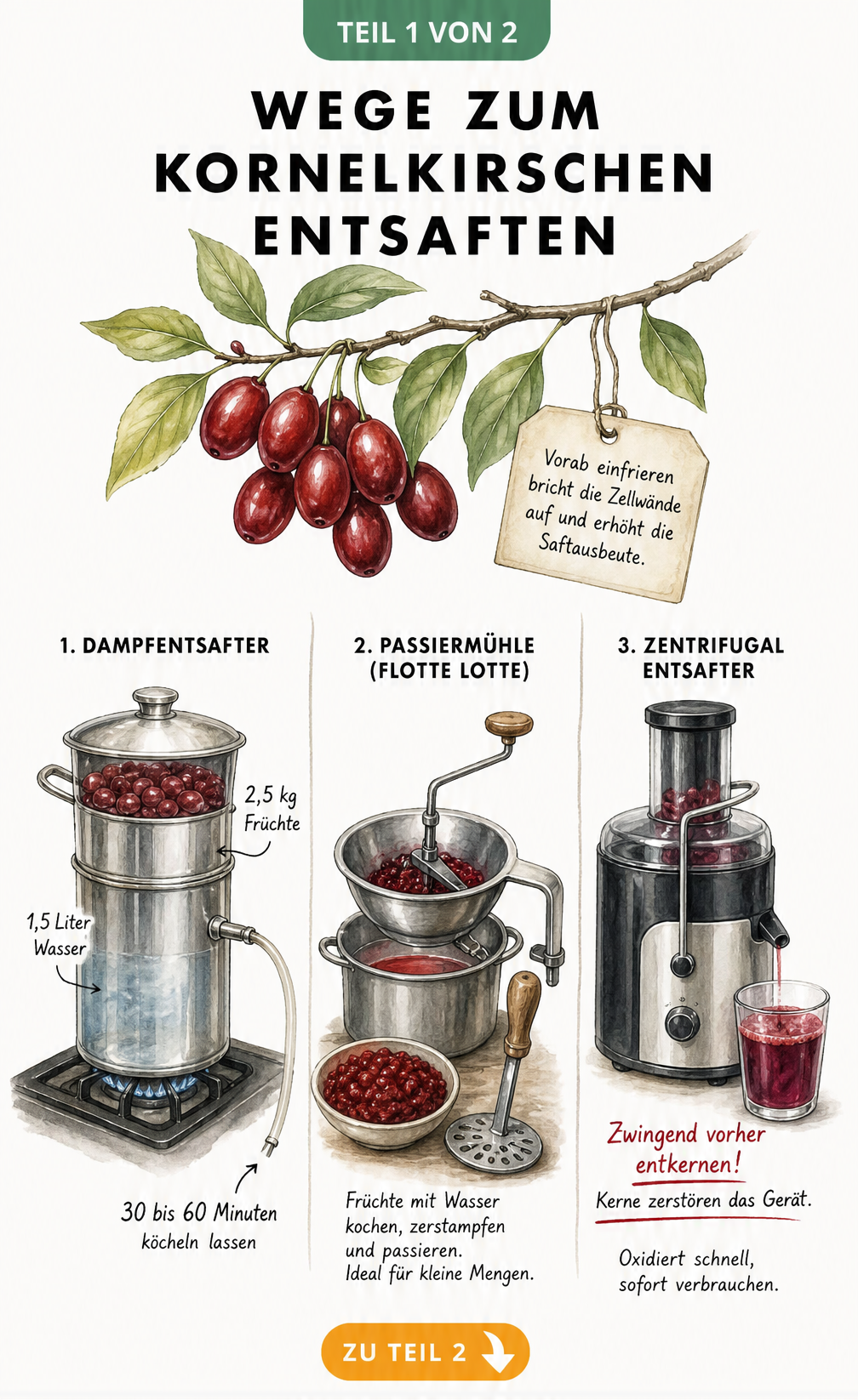 Illustration von drei Methoden zum Entsaften von Kornelkirschen: Dampfentsafter, Passiermühle und Zentrifugalentsafter.