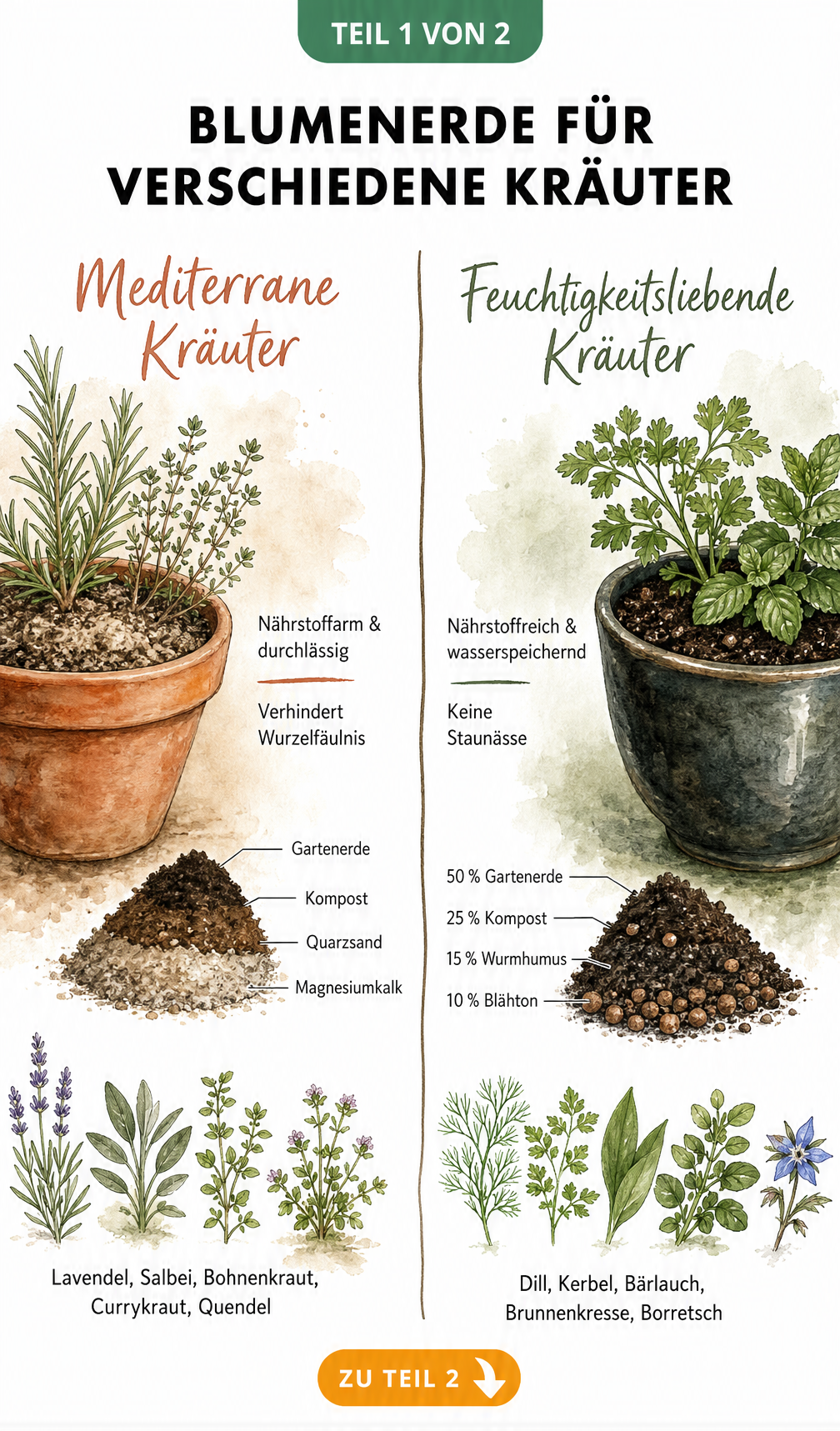 Illustration von mediterranen und feuchtigkeitsliebenden Kräutern mit ihren jeweiligen Erdmischungen