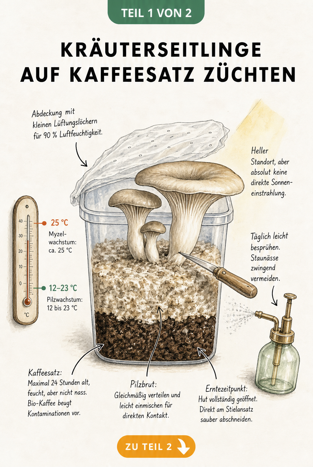 Querschnitt eines Anzuchtbehälters für Kräuterseitlinge auf Kaffeesatz mit Temperatur- und Feuchtigkeitsangaben