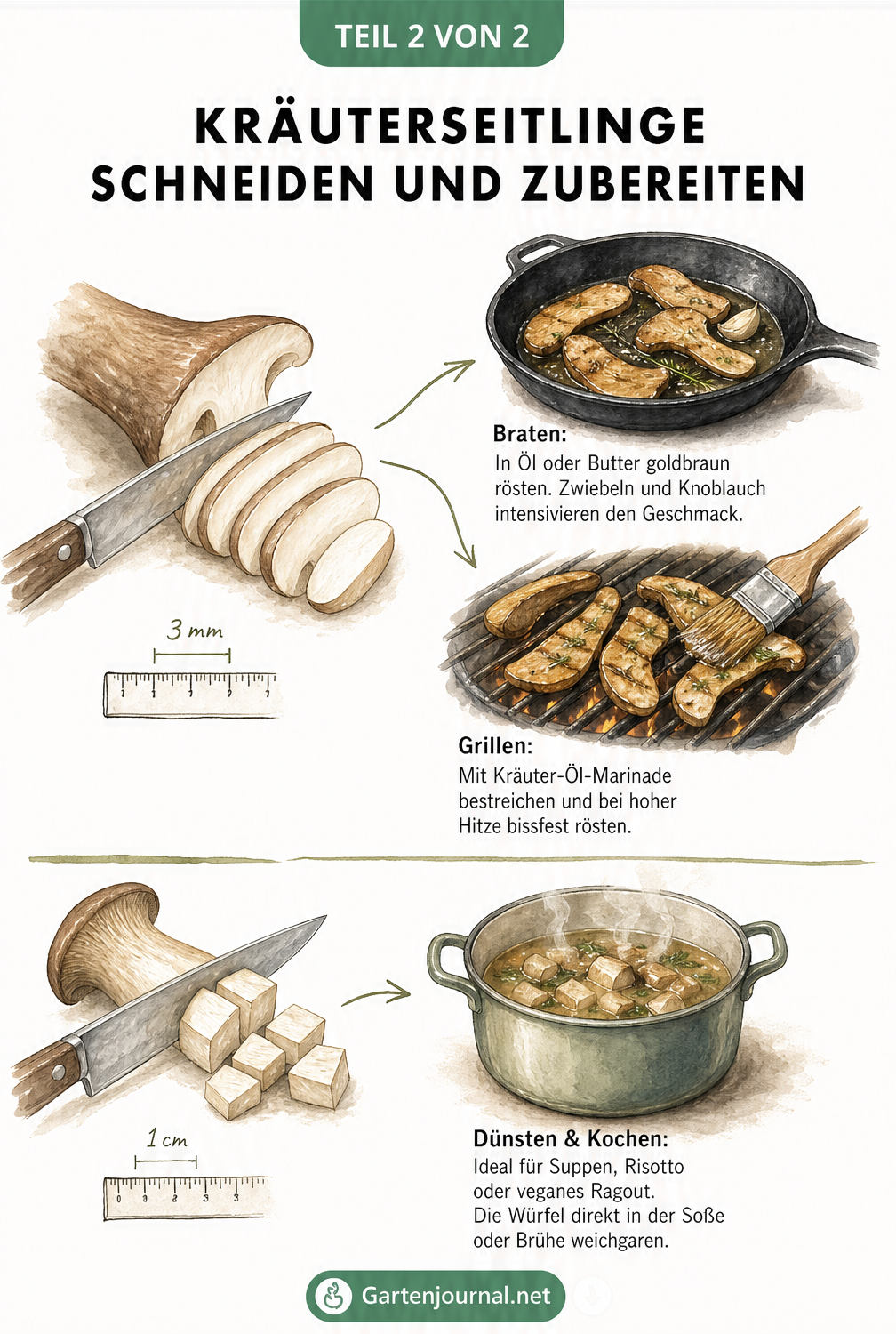 Illustration verschiedener Schnitttechniken und Zubereitungsarten für Kräuterseitlinge wie Braten, Grillen und Dünsten