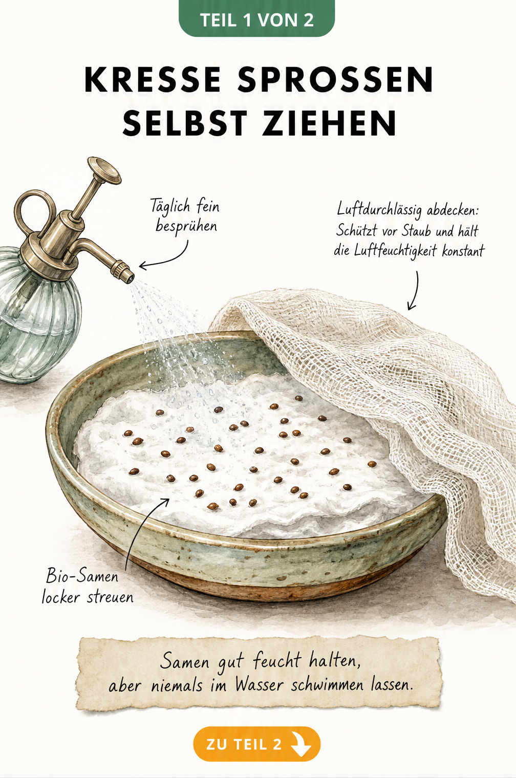 Illustration einer flachen Keramikschale mit Watte, Kressesamen und einer Sprühflasche zum Befeuchten