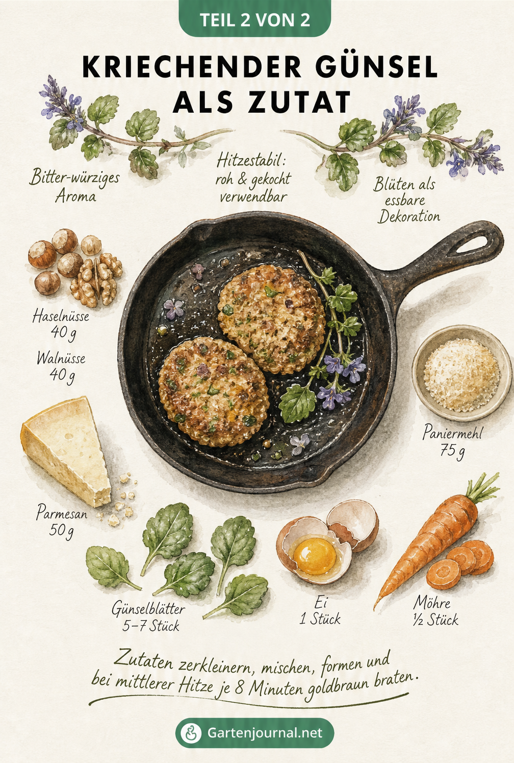Rezept-Illustration für Nussbratlinge mit Kriechendem Günsel in einer Pfanne