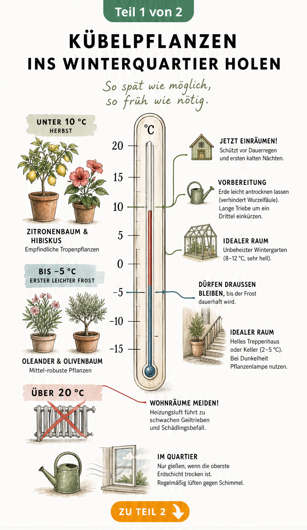 Vintage-Thermometer zeigt Temperaturen und Zeitpunkte zum Einräumen von Kübelpflanzen wie Zitronenbaum und Oleander