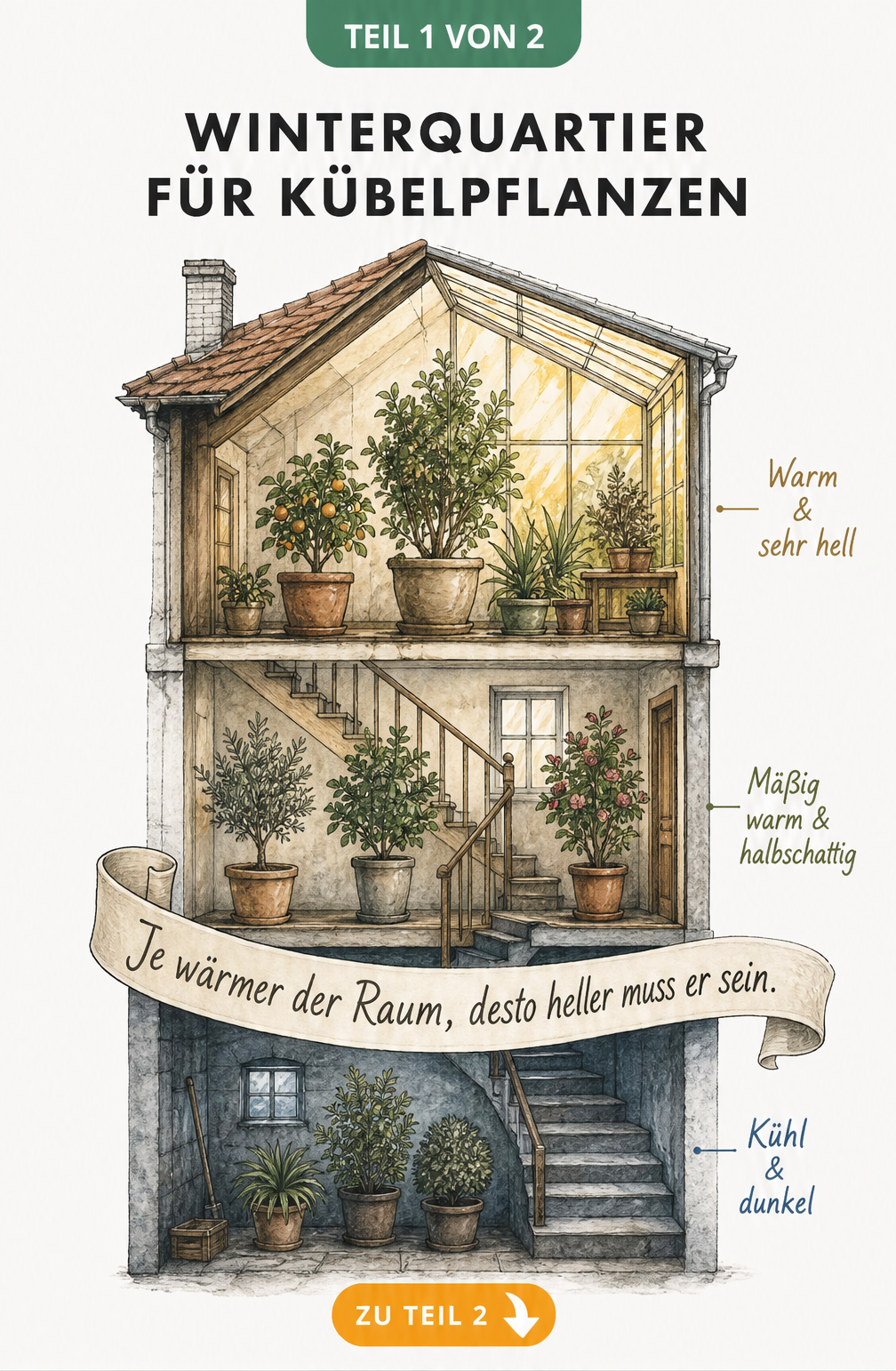 Aquarell-Schnittzeichnung eines Hauses zeigt Kübelpflanzen im Keller, Treppenhaus und Wintergarten mit Temperatur- und Lichtangaben