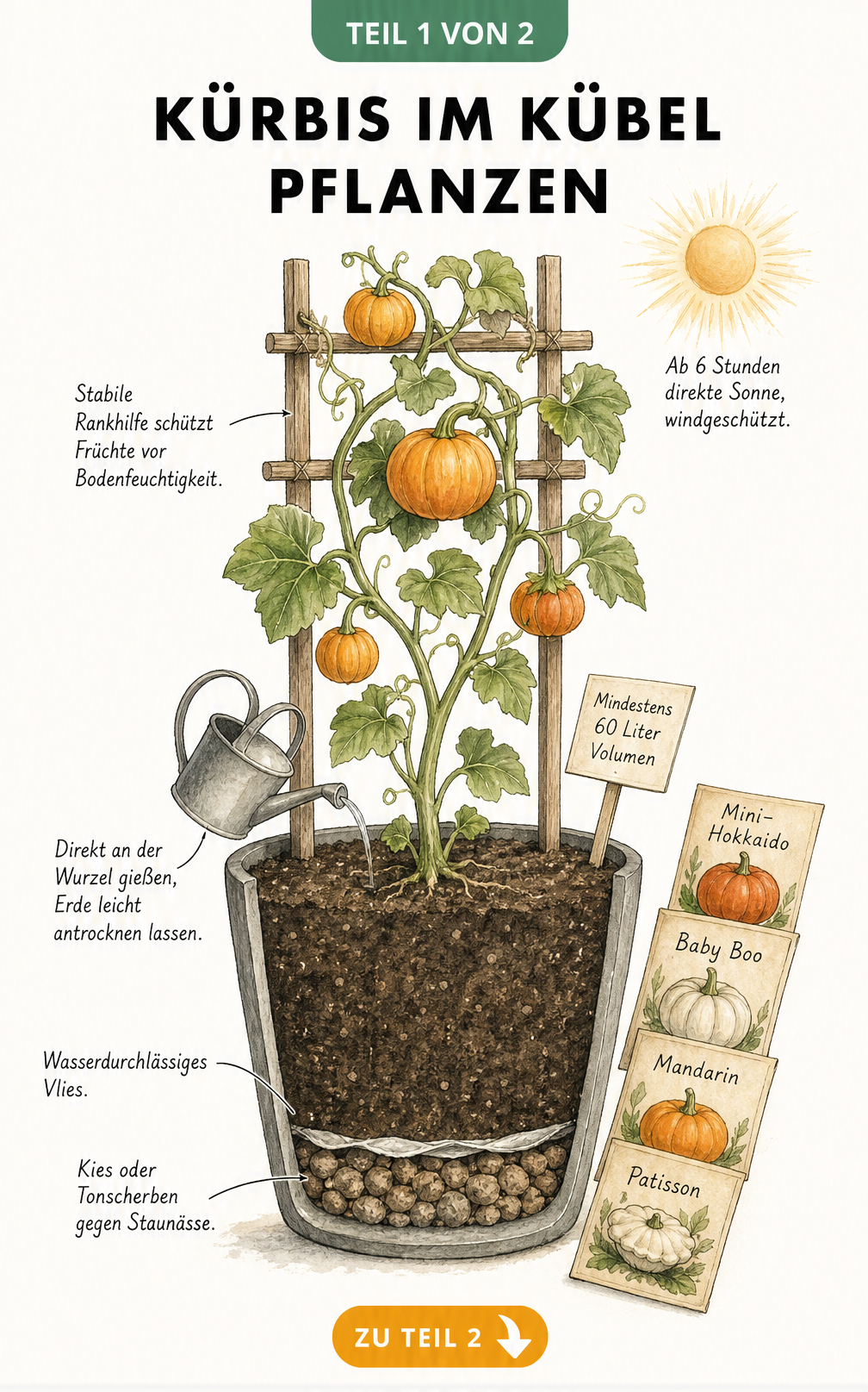 Schnittzeichnung eines Pflanzkübels für Kürbisse mit Schichten aus Kies, Vlies und Erde sowie einer Rankhilfe und Saatguttütchen.