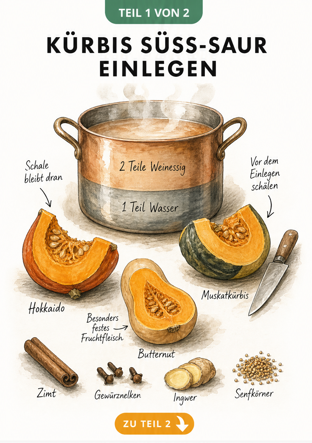 Illustration eines Kupfertopfs mit Essig-Wasser-Sud und Kürbisspalten von Hokkaido, Muskatkürbis und Butternut sowie Gewürzen wie Zimt und Nelken.