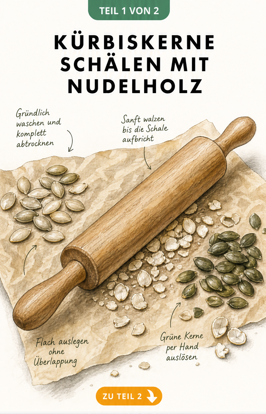 Illustration: Kürbiskerne mit einem Nudelholz auf Backpapier schälen
