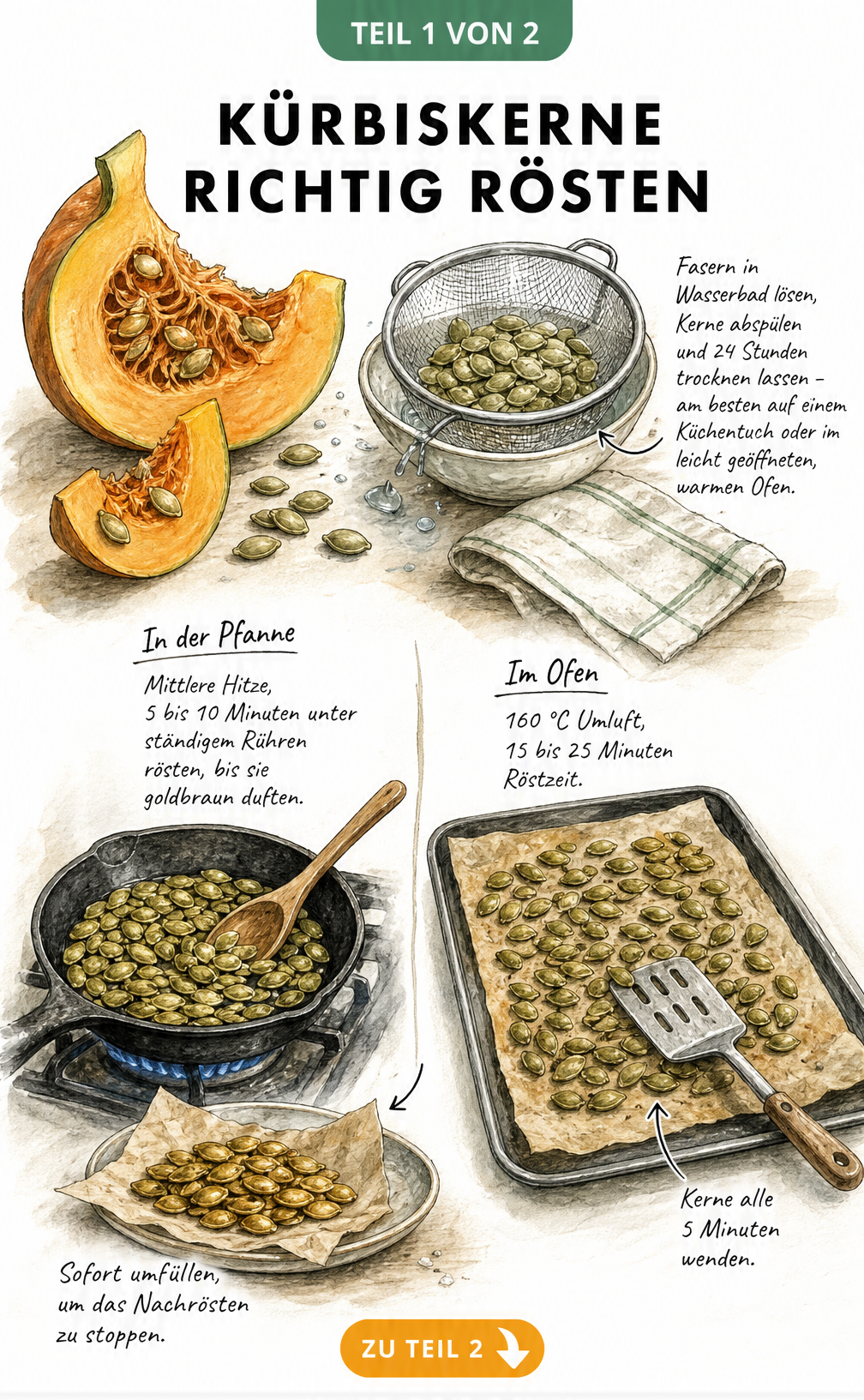 Illustration zur Vorbereitung und Röstung von Kürbiskernen in Pfanne und Backofen