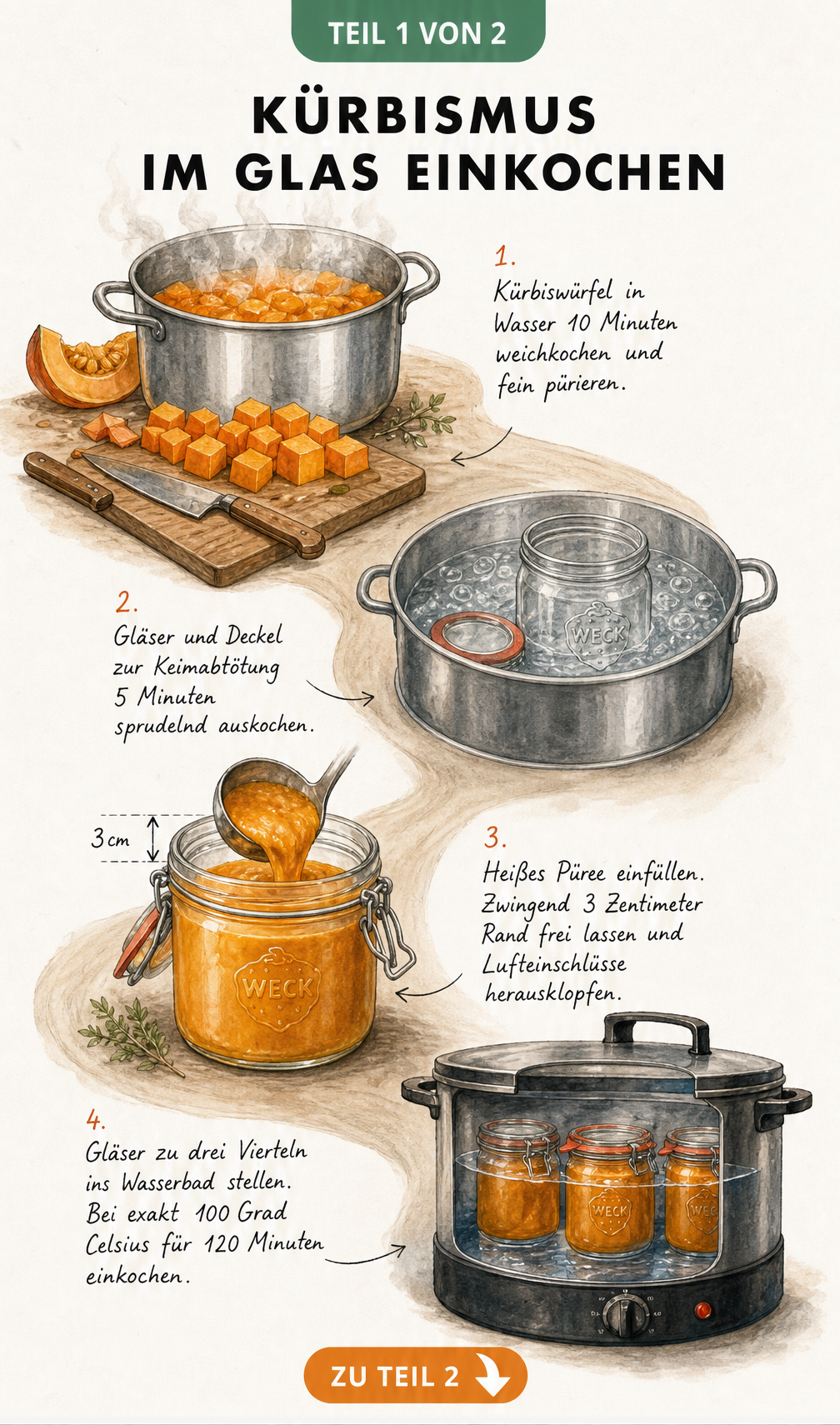 Illustration der Arbeitsschritte zum Einkochen von Kürbismus im Glas: Kürbis kochen, Gläser sterilisieren, Püree einfüllen und im Wasserbad einkochen.