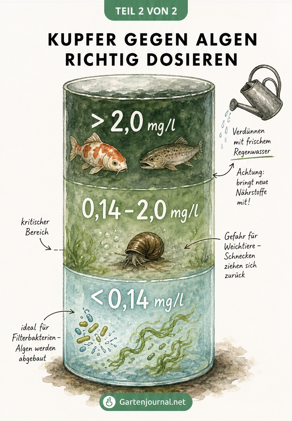 Aquarellierter Wasserzylinder als Messskala für Kupferkonzentration im Teichwasser mit Werten und Auswirkungen auf Fische und Bakterien