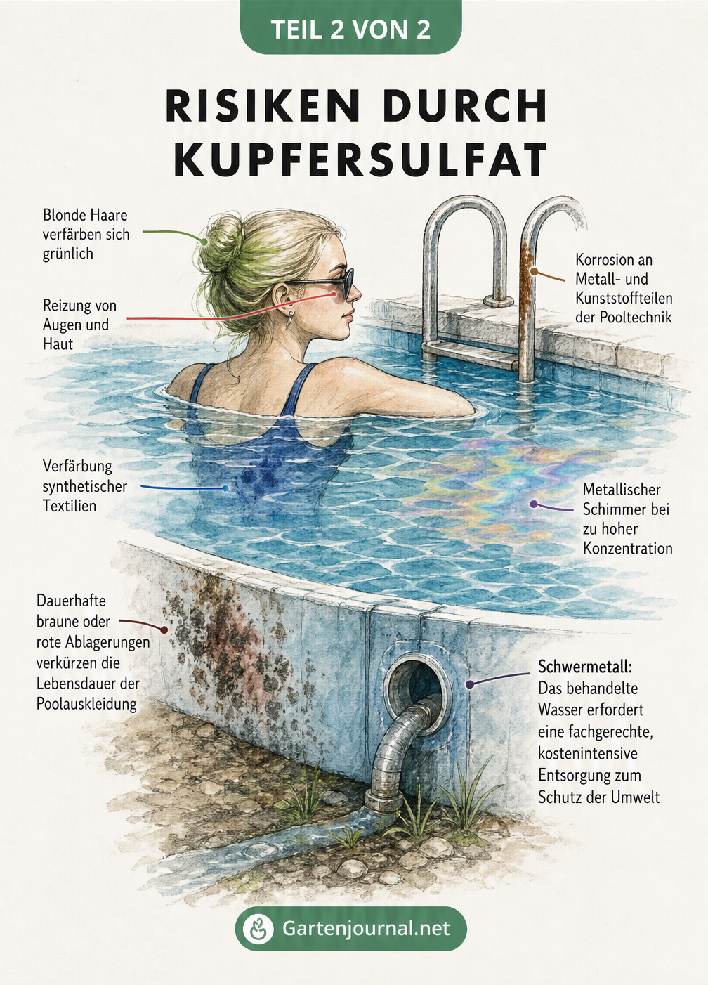 Zeichnung eines Schwimmbeckens, die Schäden durch Kupfersulfat wie grüne Haare, Korrosion und Ablagerungen zeigt