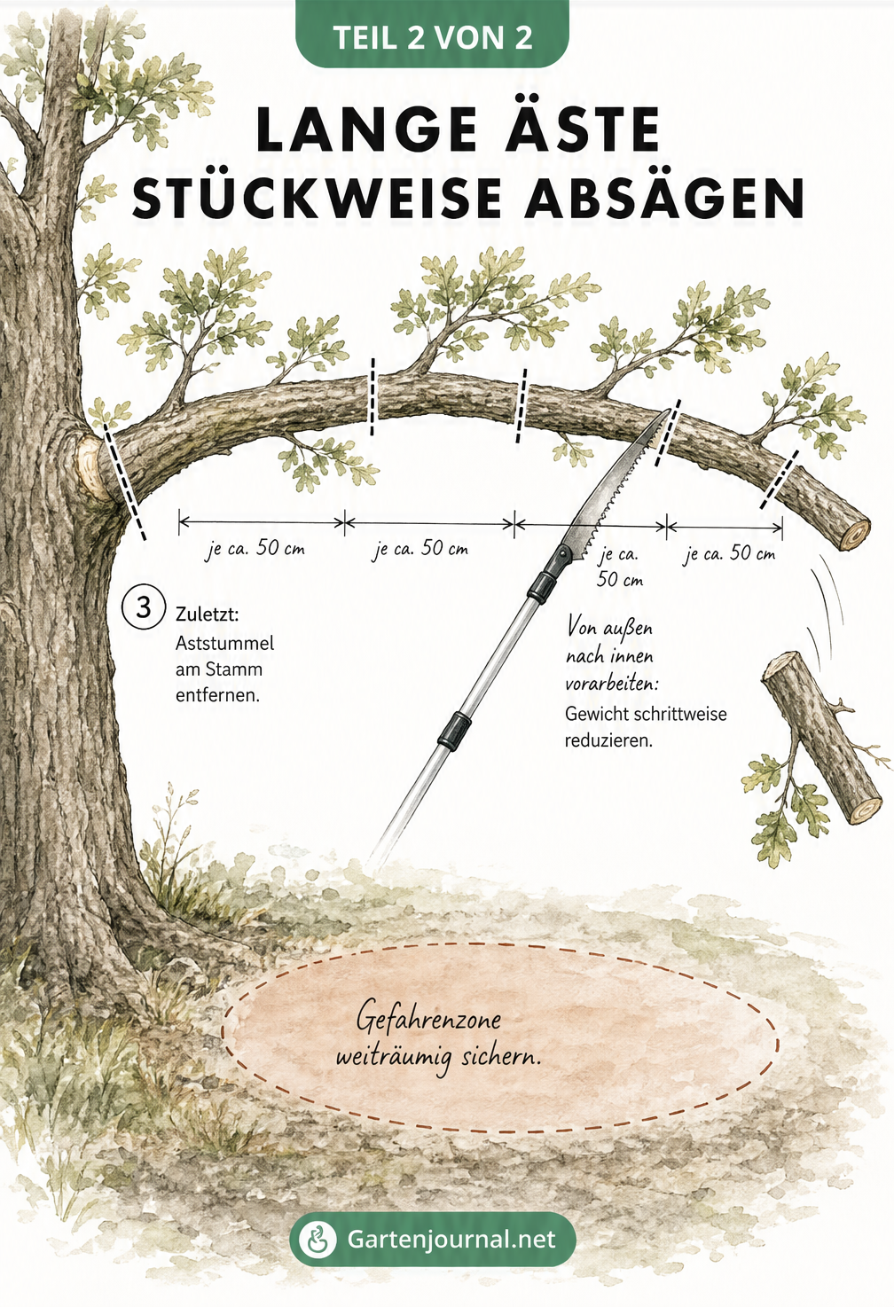 Illustration der Salamitaktik zum stückweisen Absägen langer Äste