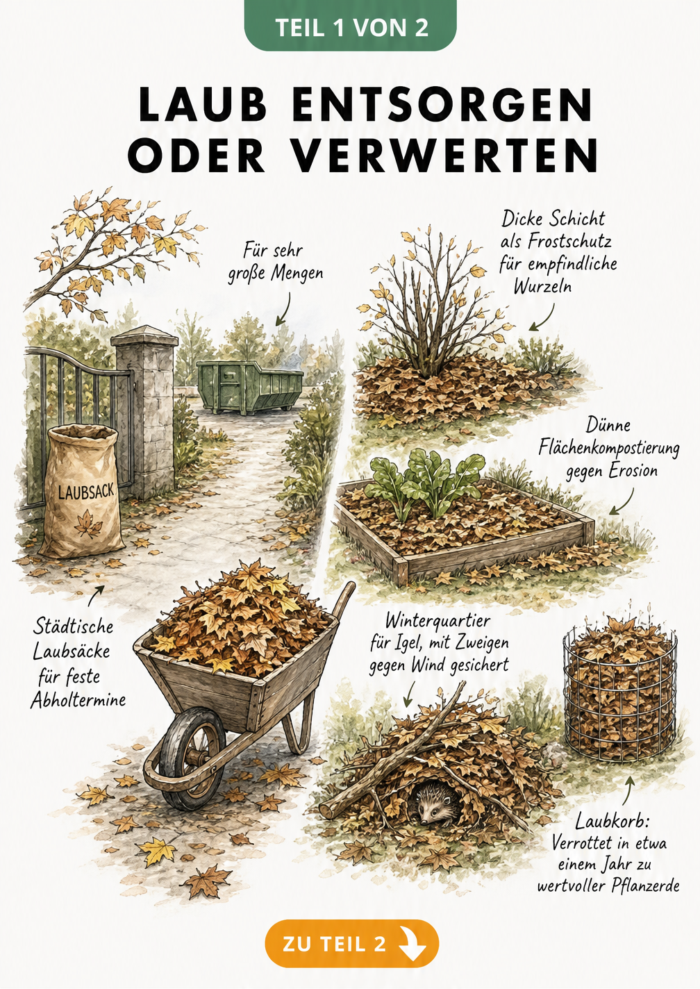 Illustration von Laubentsorgung und -verwertung im Garten mit Schubkarre, Laubsack und Laubkorb