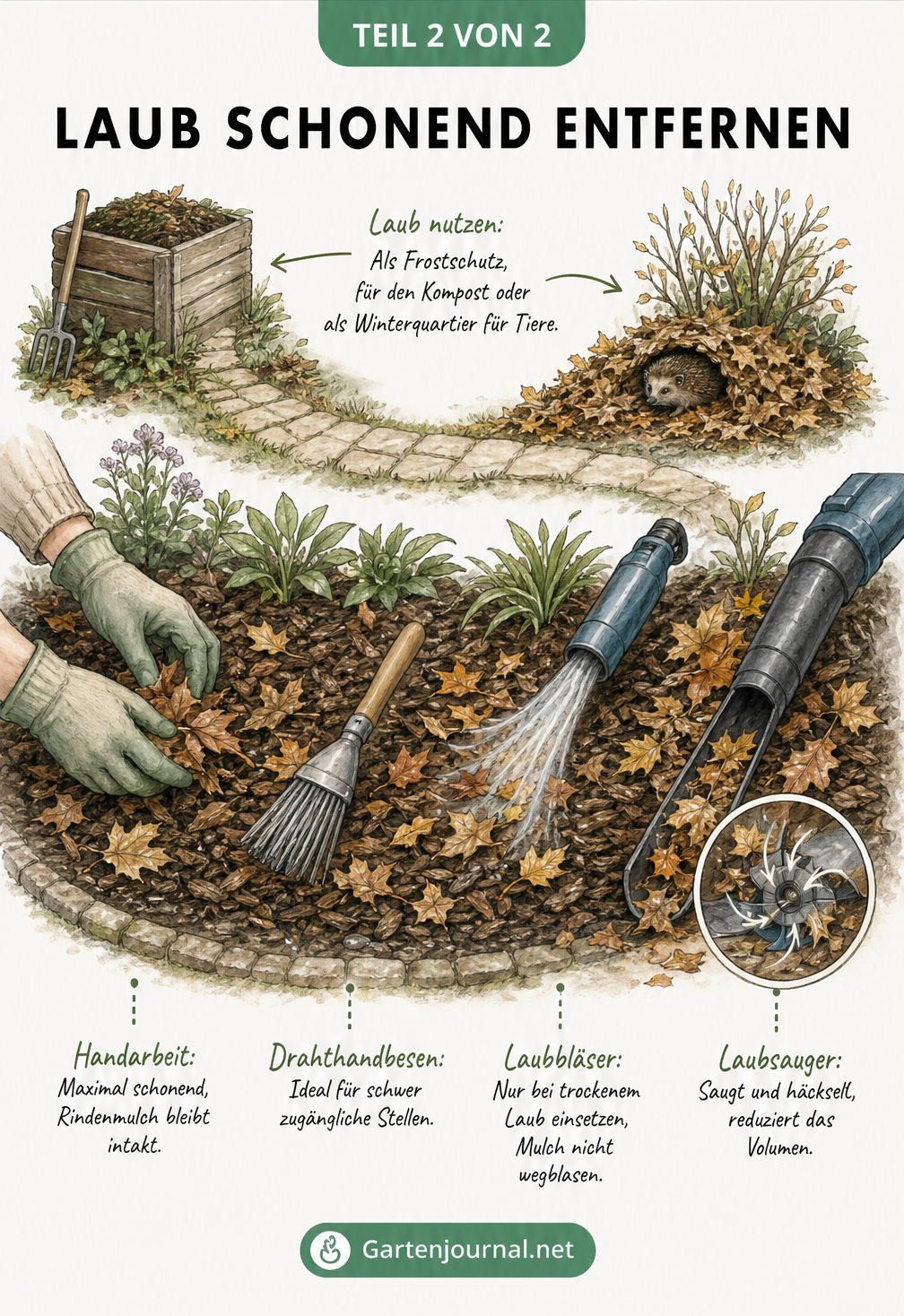 Illustration verschiedener Methoden zur schonenden Entfernung von Laub auf Rindenmulch, darunter Handarbeit, Drahthandbesen, Laubbläser und Laubsauger.