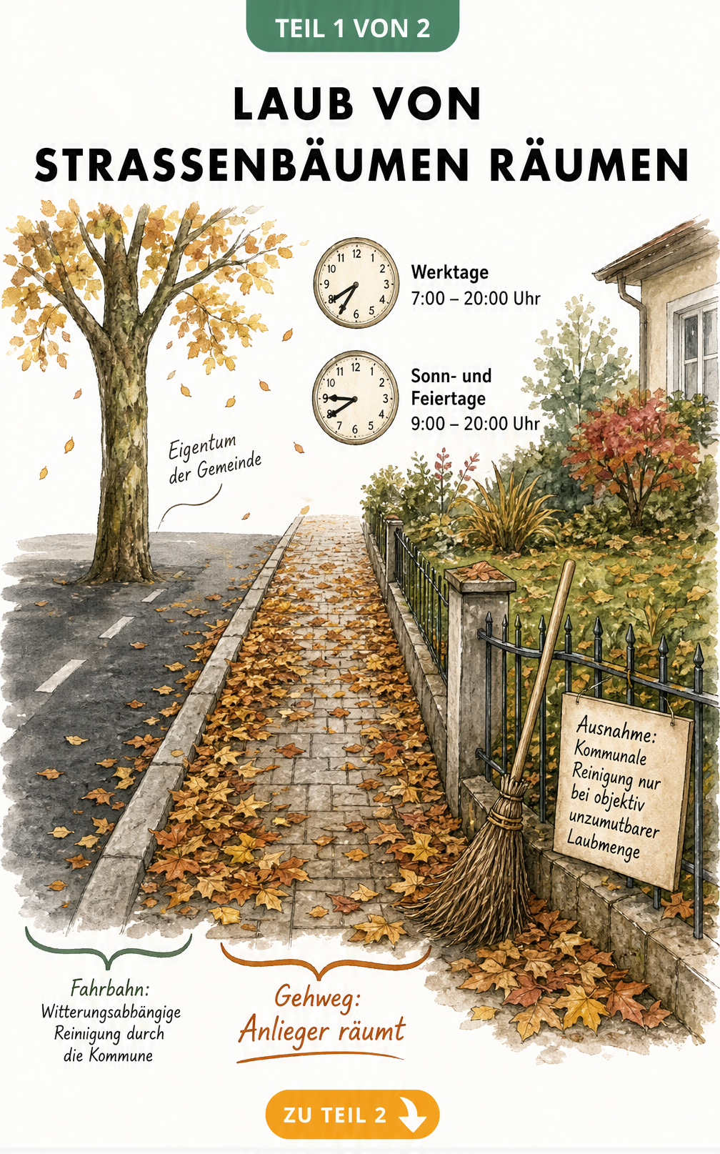 Illustration zur Zuständigkeit bei Laub von Straßenbäumen auf Gehwegen