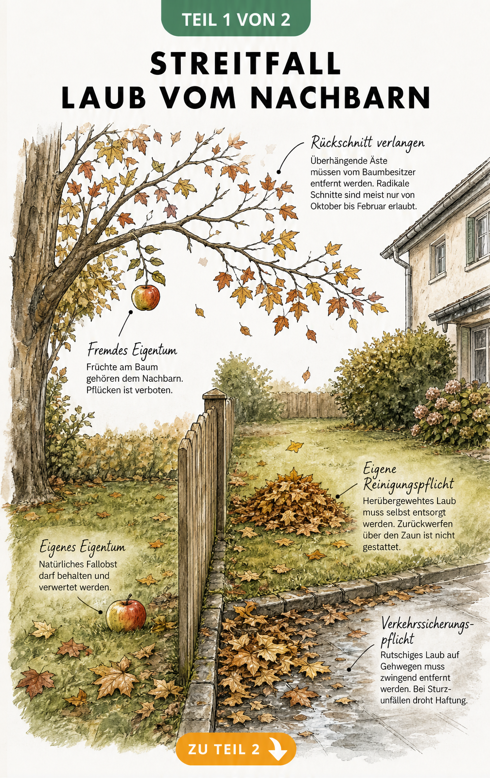 Illustration zweier Grundstücke im Herbst, die rechtliche Zuständigkeiten bei überhängenden Ästen, Fallobst und Laub auf Rasen sowie Gehweg erklärt.