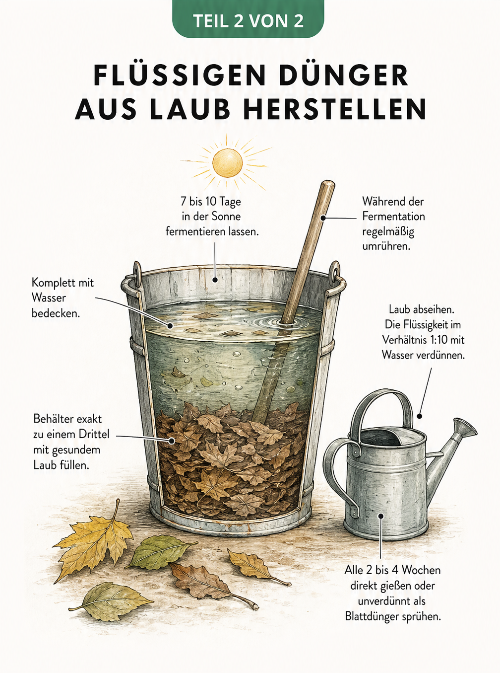 Querschnitt-Zeichnung eines Eimers, die in sechs Schritten die Herstellung von flüssigem Dünger aus Laub und Wasser erklärt