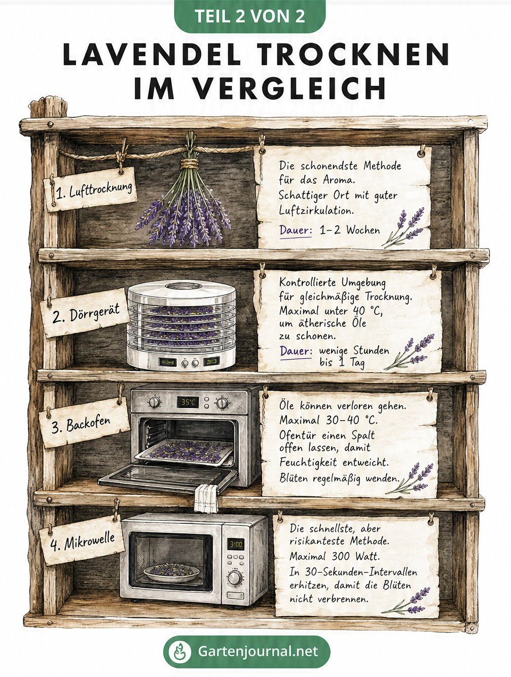 Illustration eines Holzregals mit vier Fächern, die Lavendel-Trocknungsmethoden vergleichen: Lufttrocknung, Dörrgerät, Backofen und Mikrowelle