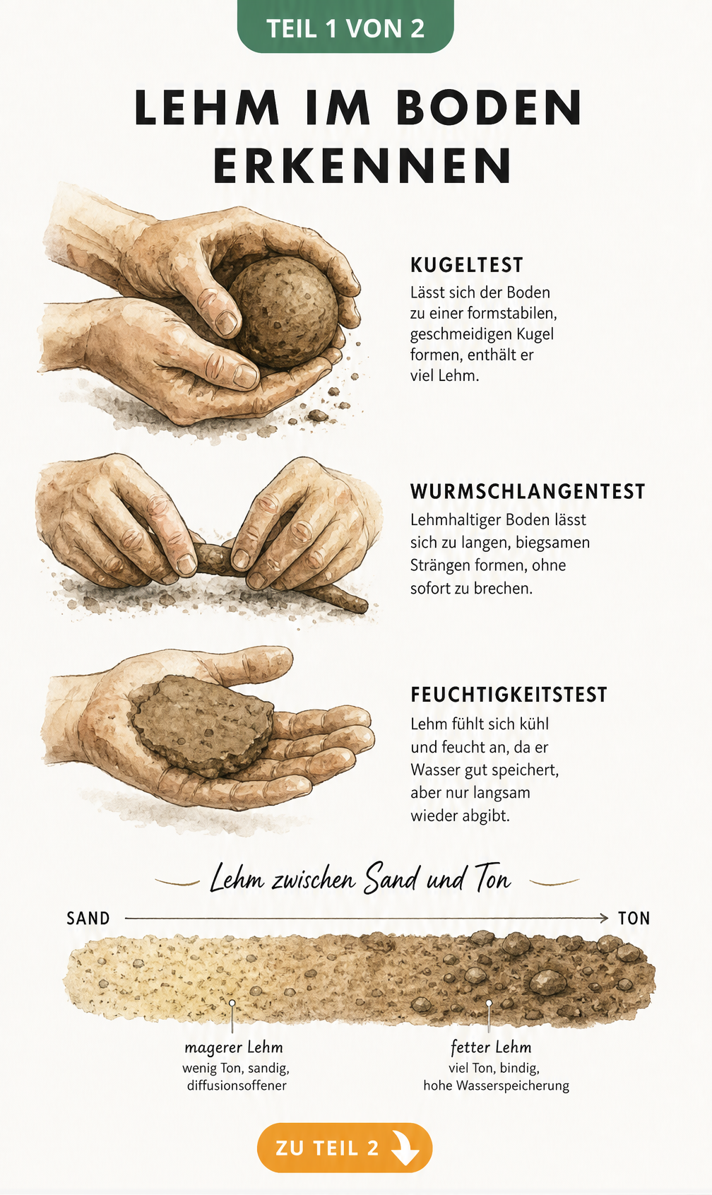 Illustration von drei Handpaaren, die Lehm auf Kugelform, Wurmschlange und Feuchtigkeit testen, mit Skala von Sand zu Ton