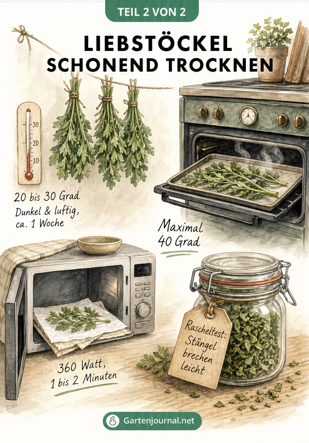 Illustration verschiedener Trocknungsmethoden für Liebstöckel: Lufttrocknung, Backofen und Mikrowelle