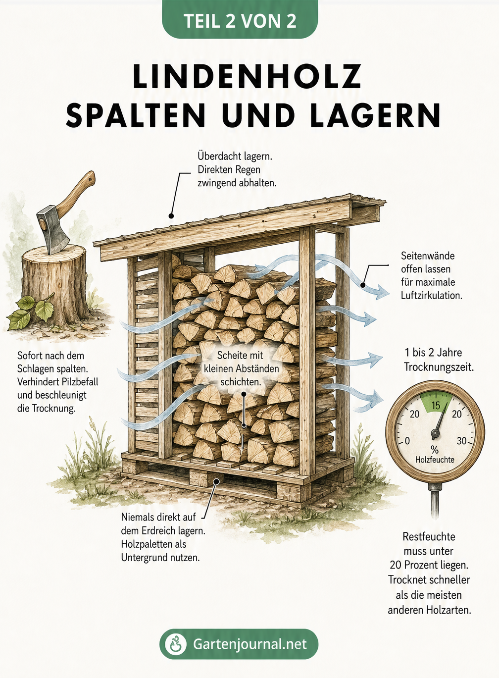 Schnittansicht eines Holzunterstands mit Tipps zur richtigen Lagerung und Trocknung von Lindenholz