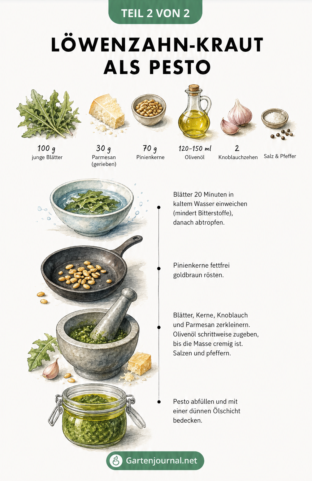 Illustrierte Schritt-für-Schritt-Anleitung zur Zubereitung von Löwenzahn-Pesto mit Zutaten und Mengenangaben