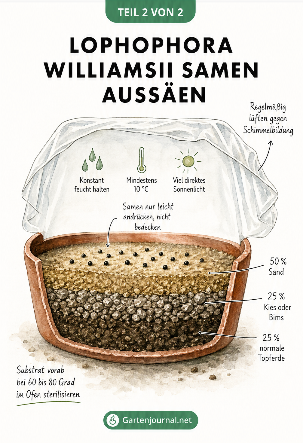 Querschnitt einer Anzuchtschale mit Substratmischung und Lophophora Williamsii Samen unter transparenter Folie