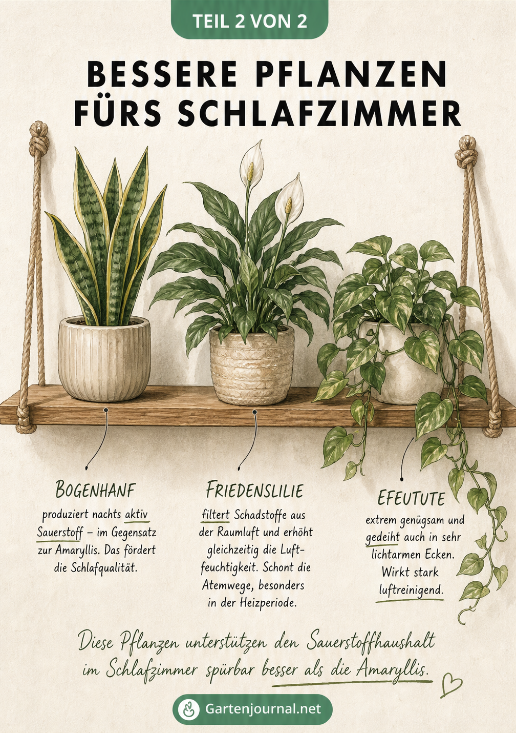 Botanisches Poster mit Bogenhanf, Friedenslilie und Efeutute als luftreinigende Pflanzen für das Schlafzimmer