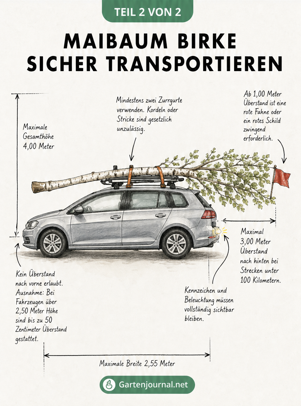 Skizze eines Autos mit einer Birke auf dem Dachgepäckträger und Maßlinien für den Transport