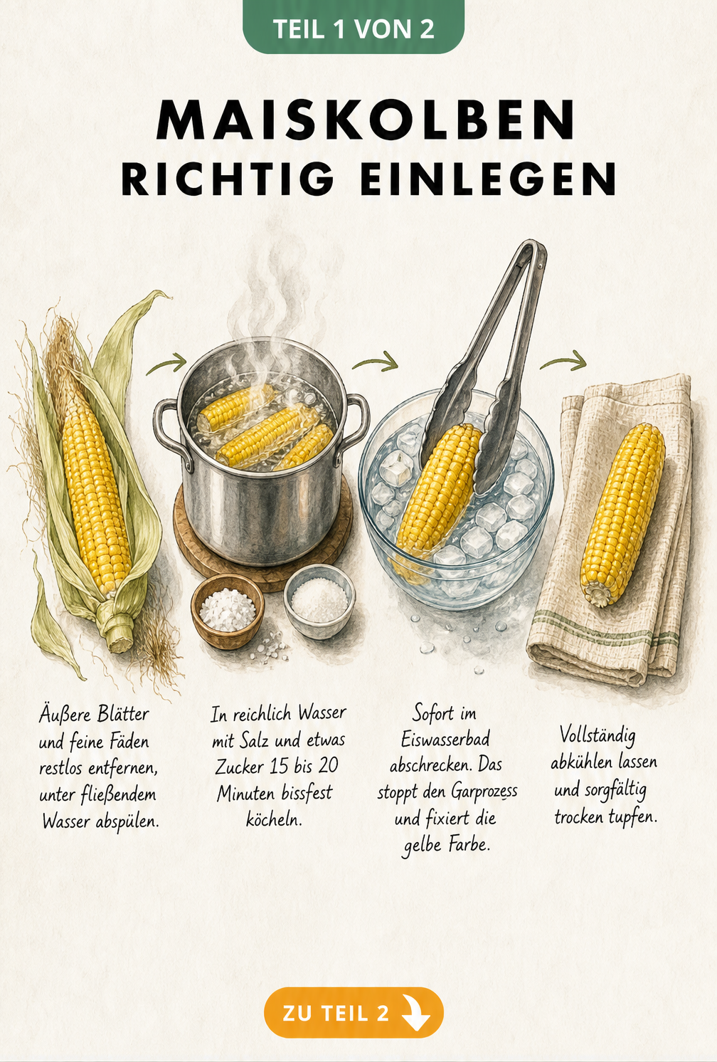 Illustration der vier Schritte zur Vorbereitung von Maiskolben: Entblättern, Kochen, Eisbad und Trocknen.