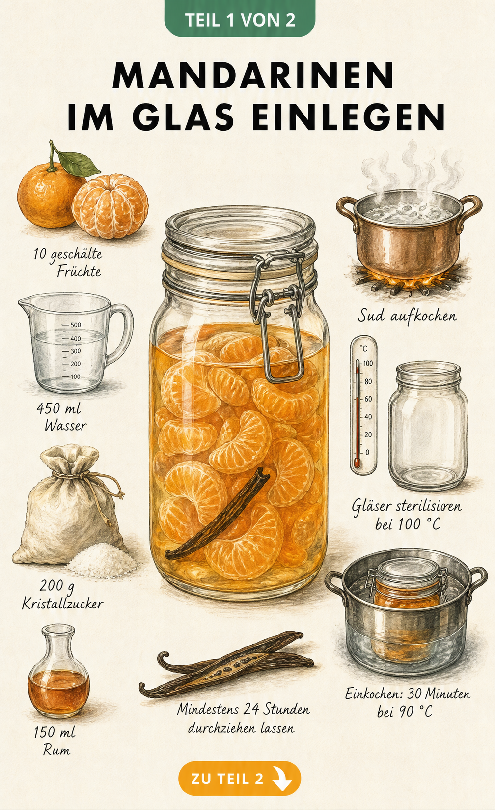 Illustration eines Einmachglases mit Mandarinenfilets, umgeben von Zutaten wie Zucker, Wasser und Rum sowie den drei Phasen des Einkochens.