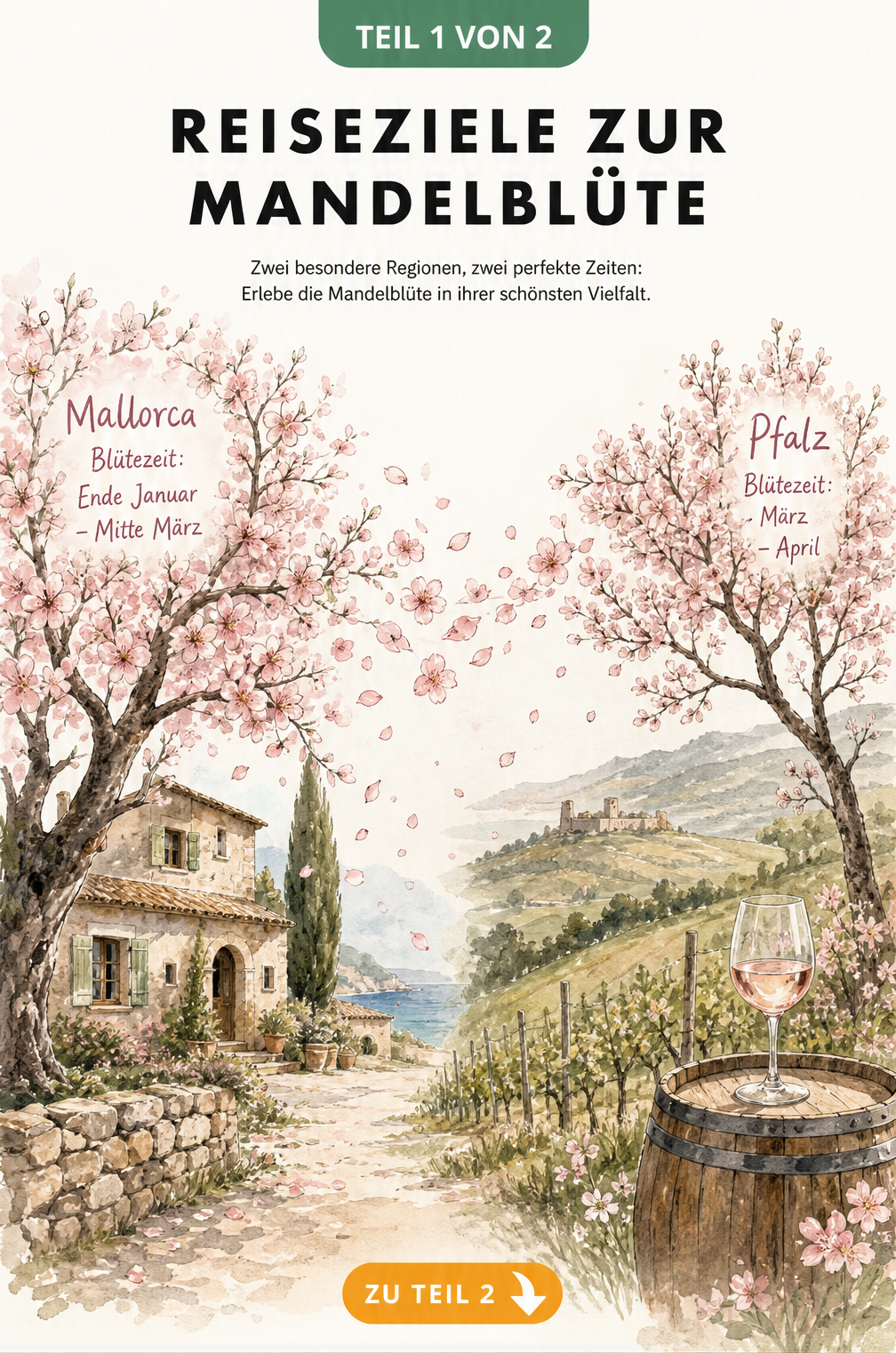 Illustration der Mandelblüte auf Mallorca und in der Pfalz mit Blütezeiten