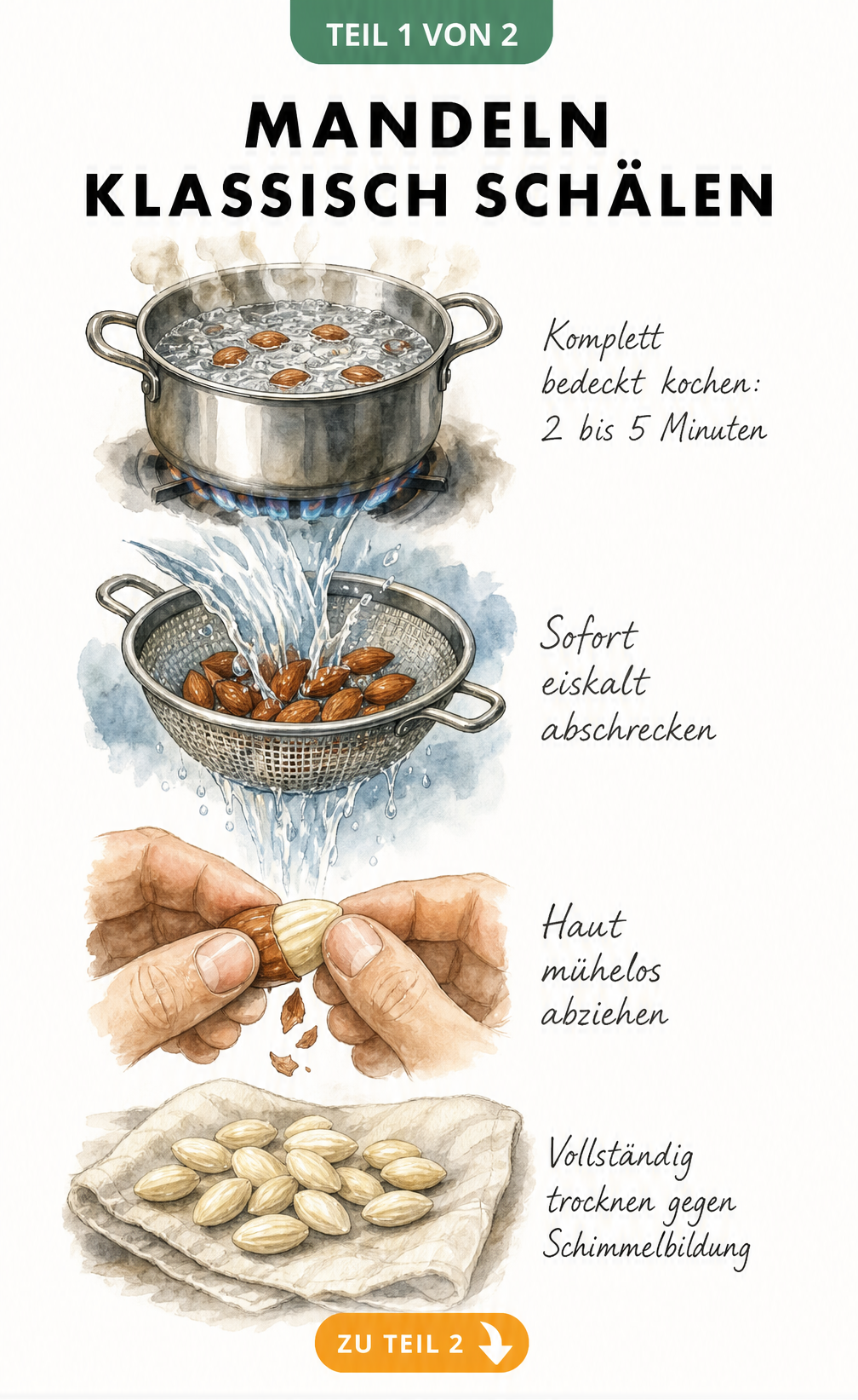 Illustration der klassischen Methode zum Mandeln schälen mit kochendem Wasser, Abschrecken und Abziehen der Haut