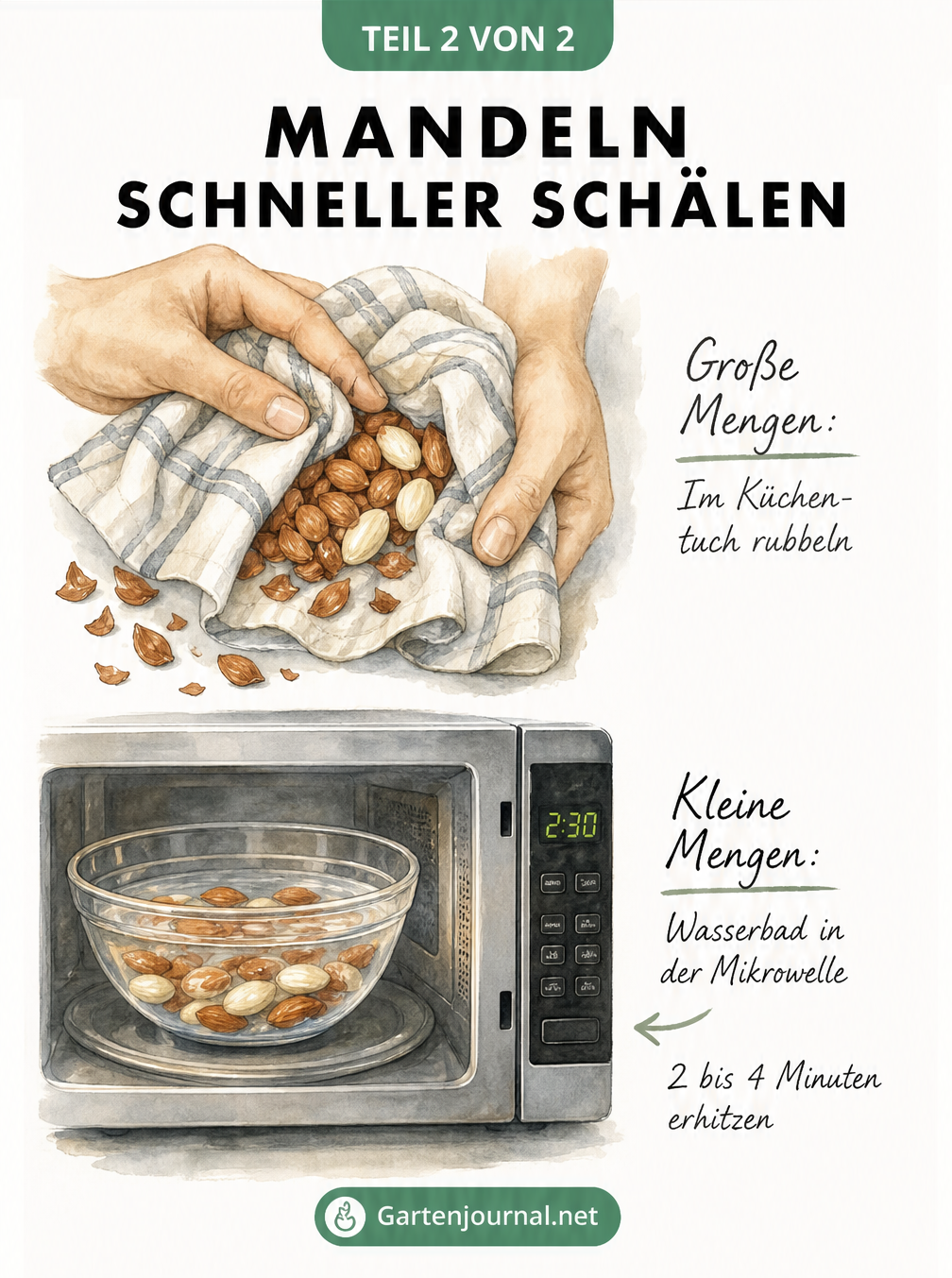 Illustration von zwei Methoden zum schnellen Mandeln schälen: große Mengen im Küchentuch rubbeln und kleine Mengen in der Mikrowelle erhitzen