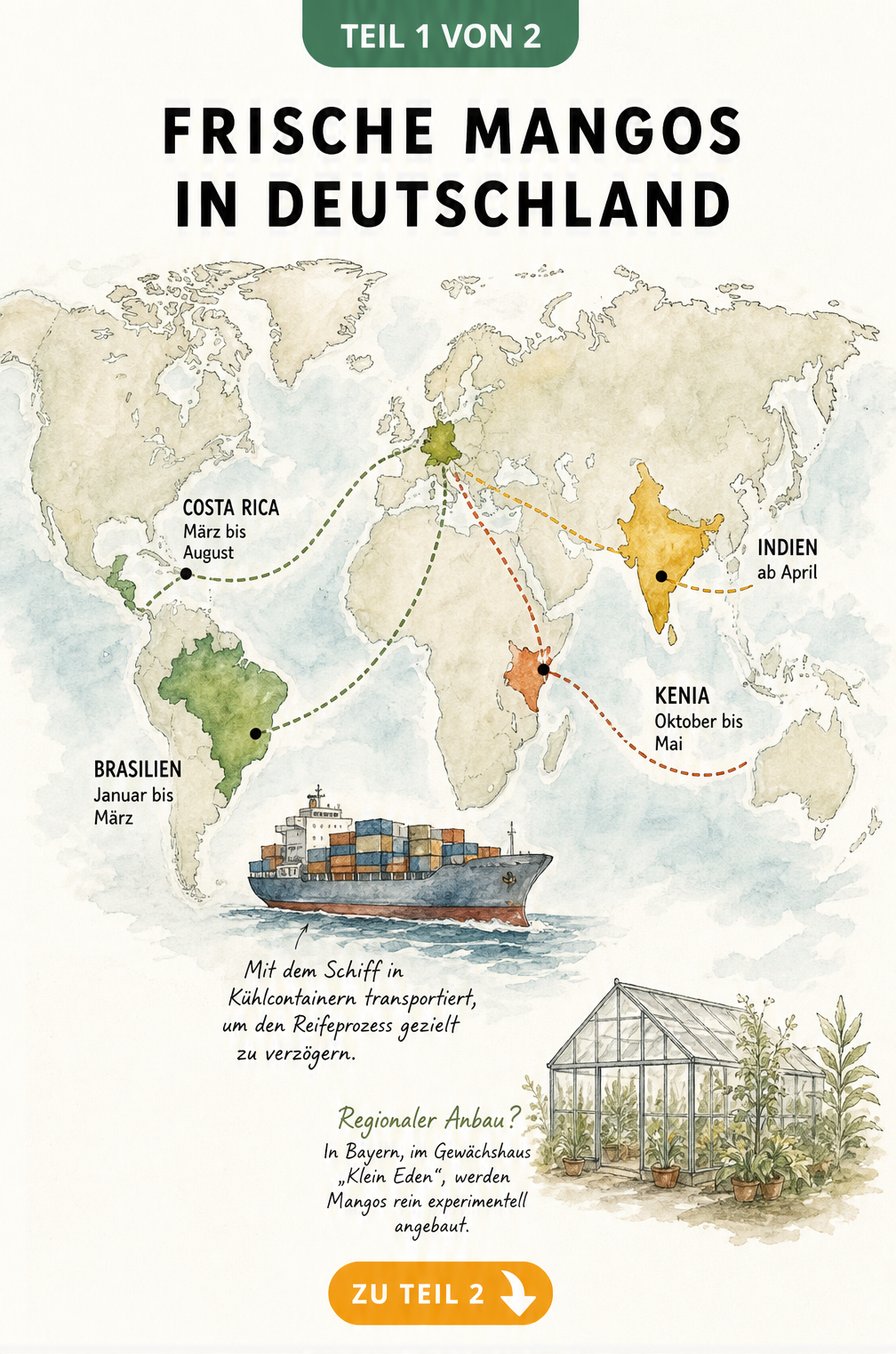 Aquarell-Weltkarte mit den Hauptlieferländern für Mangos nach Deutschland, Erntezeiten und Transportwegen