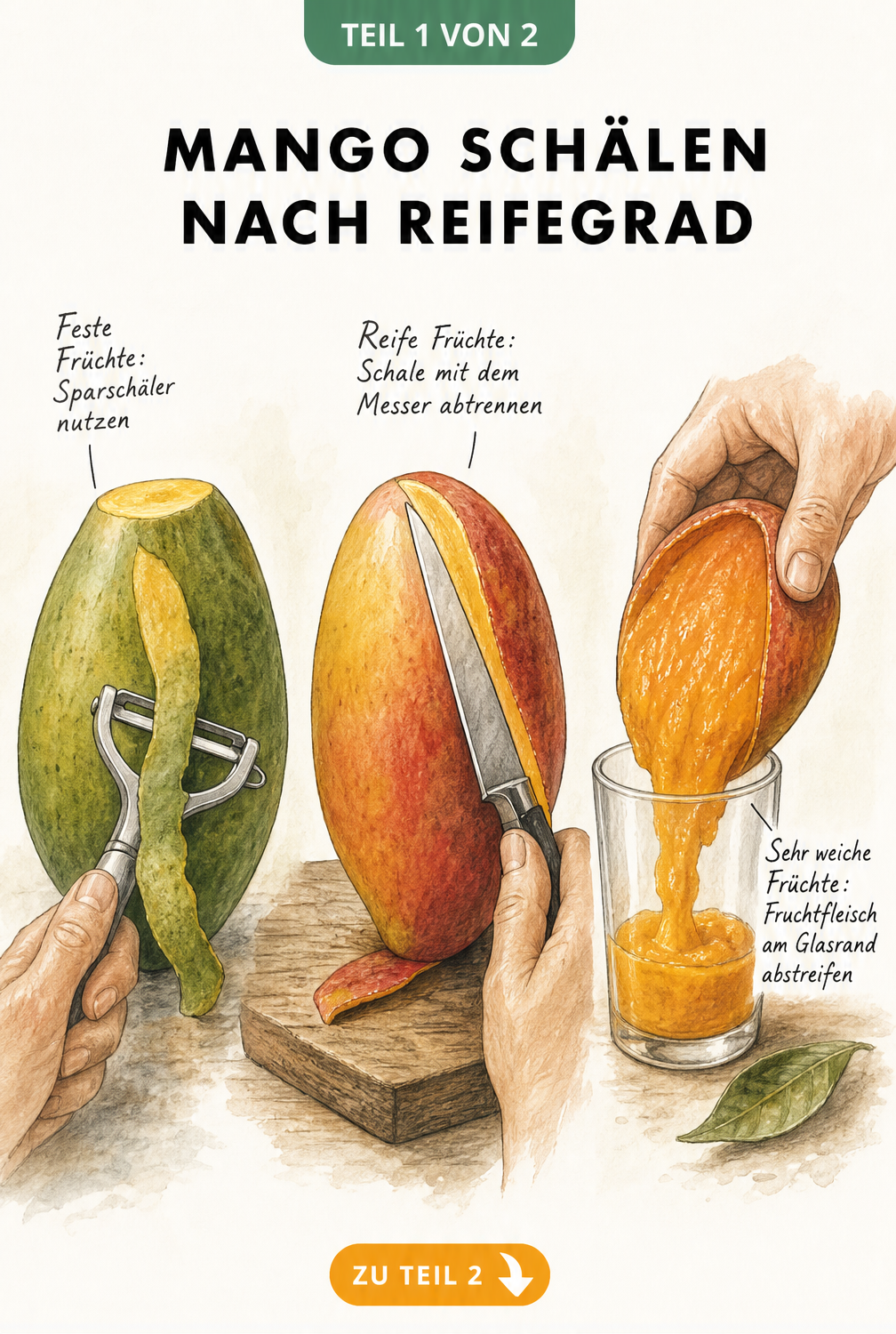Illustration von drei Methoden zum Schälen einer Mango je nach Reifegrad: mit Sparschäler, Messer oder am Glasrand