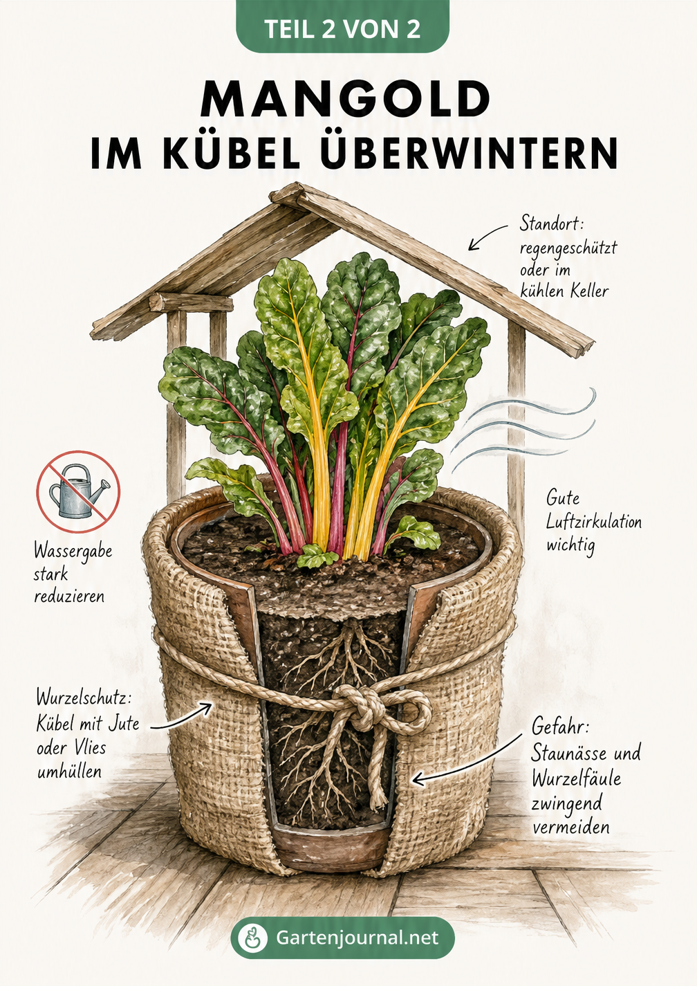 Skizze eines Pflanzkübels mit Mangold, umwickelt mit Jute, unter einem angedeuteten Dach
