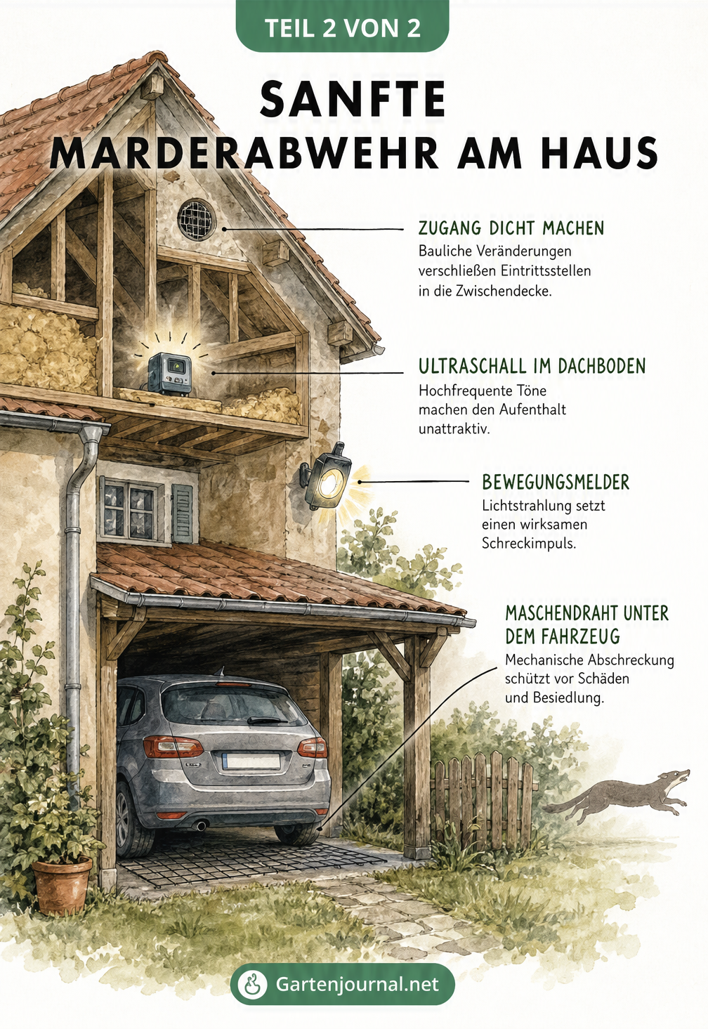 Querschnitt-Illustration eines Wohnhauses mit Carport, die legale Methoden zur Marderabwehr wie Ultraschall und Maschendraht zeigt