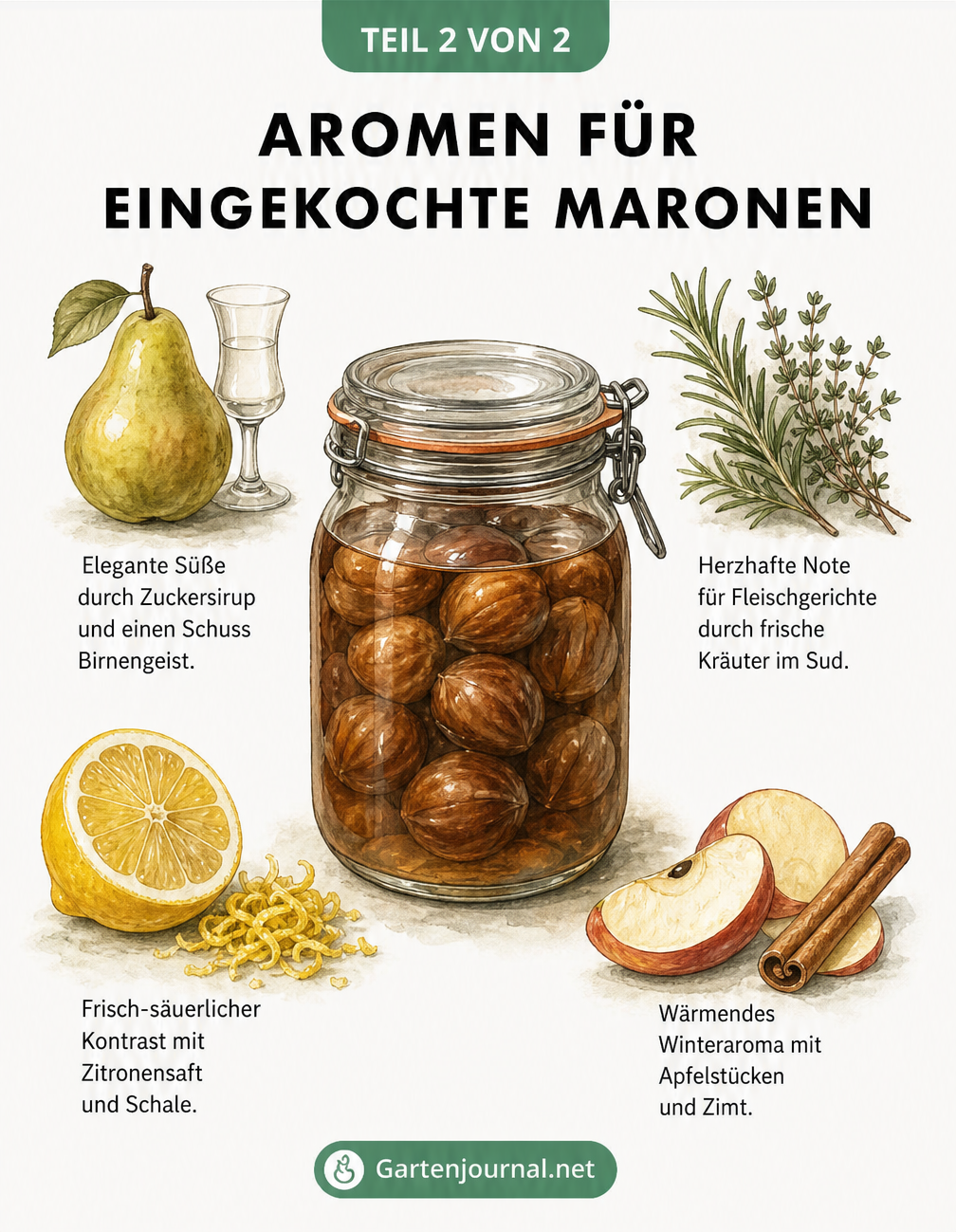 Illustration verschiedener Aromen für eingekochte Maronen wie Birne, Kräuter, Zitrone und Apfel mit Zimt