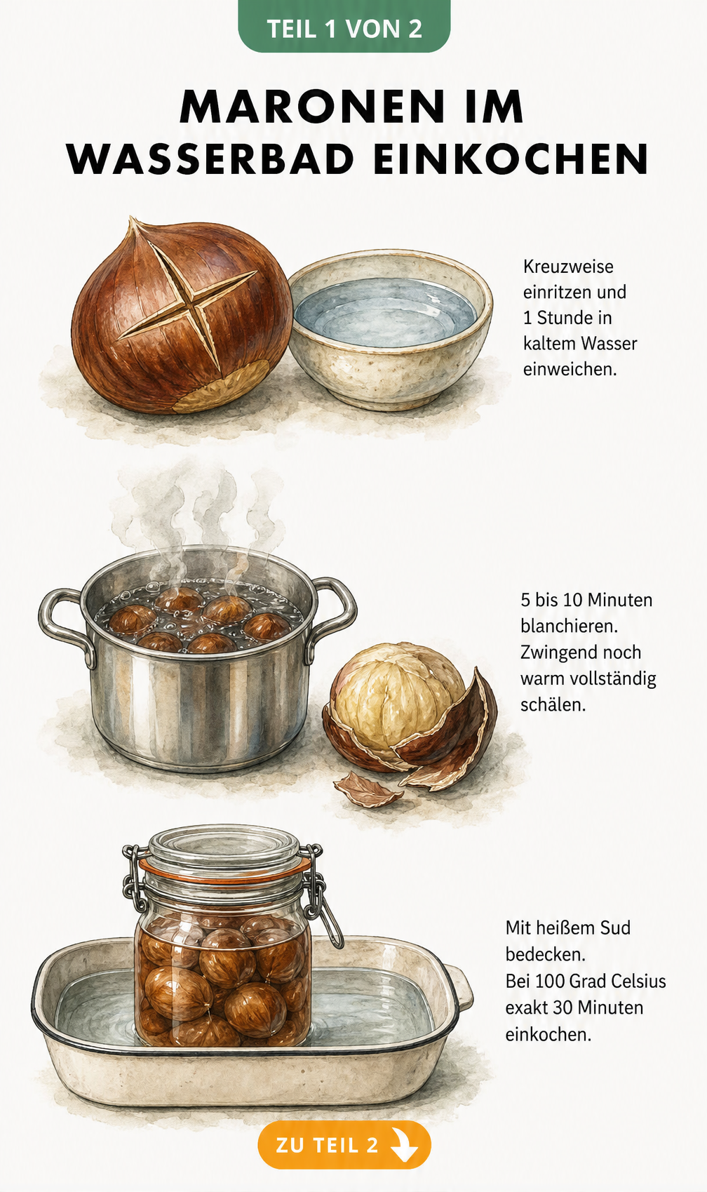 Illustration der Schritte zum Einkochen von Maronen: Einritzen, Blanchieren und im Wasserbad einkochen